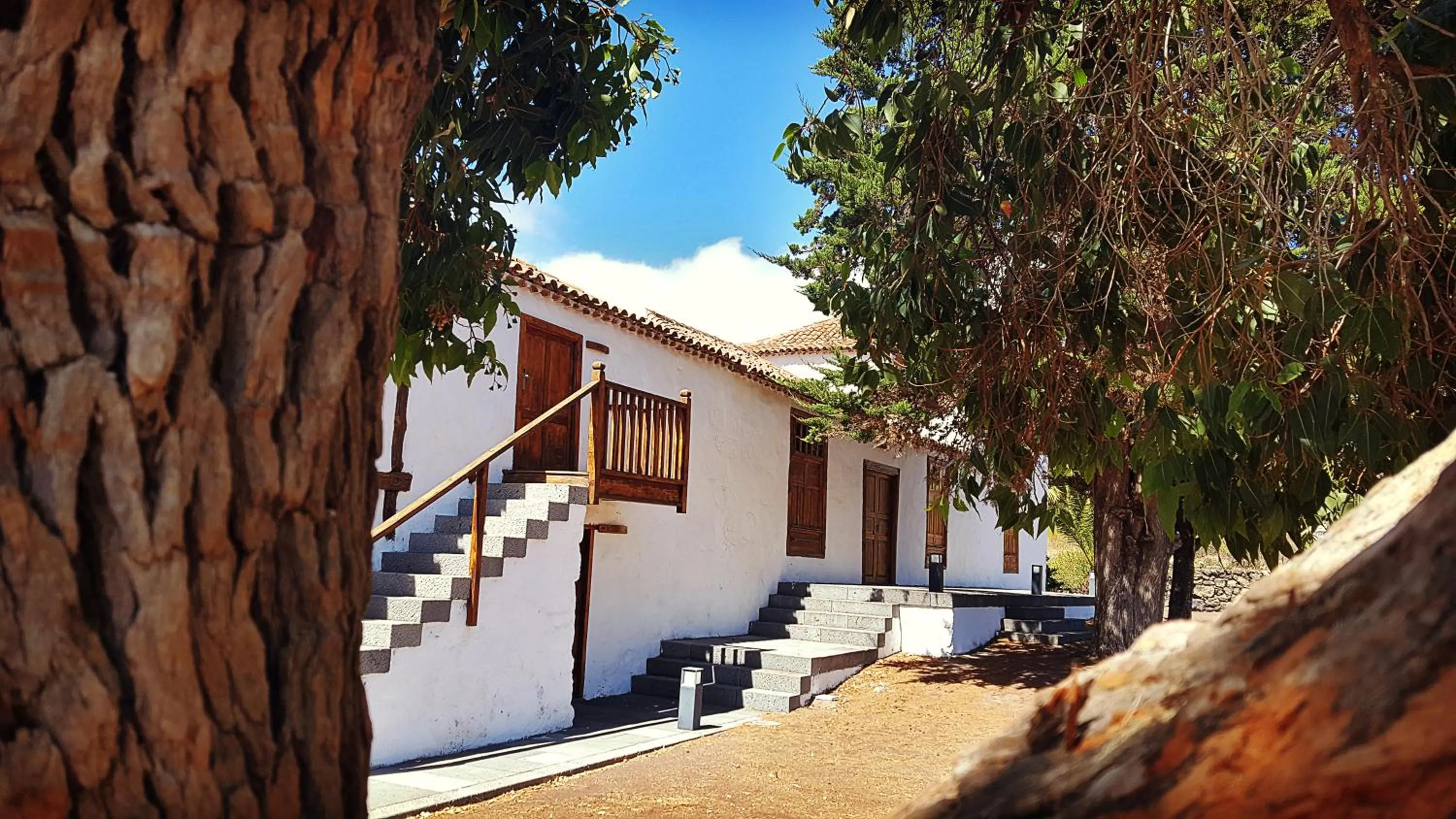 Restaurant/places to eat in La Casona del Patio