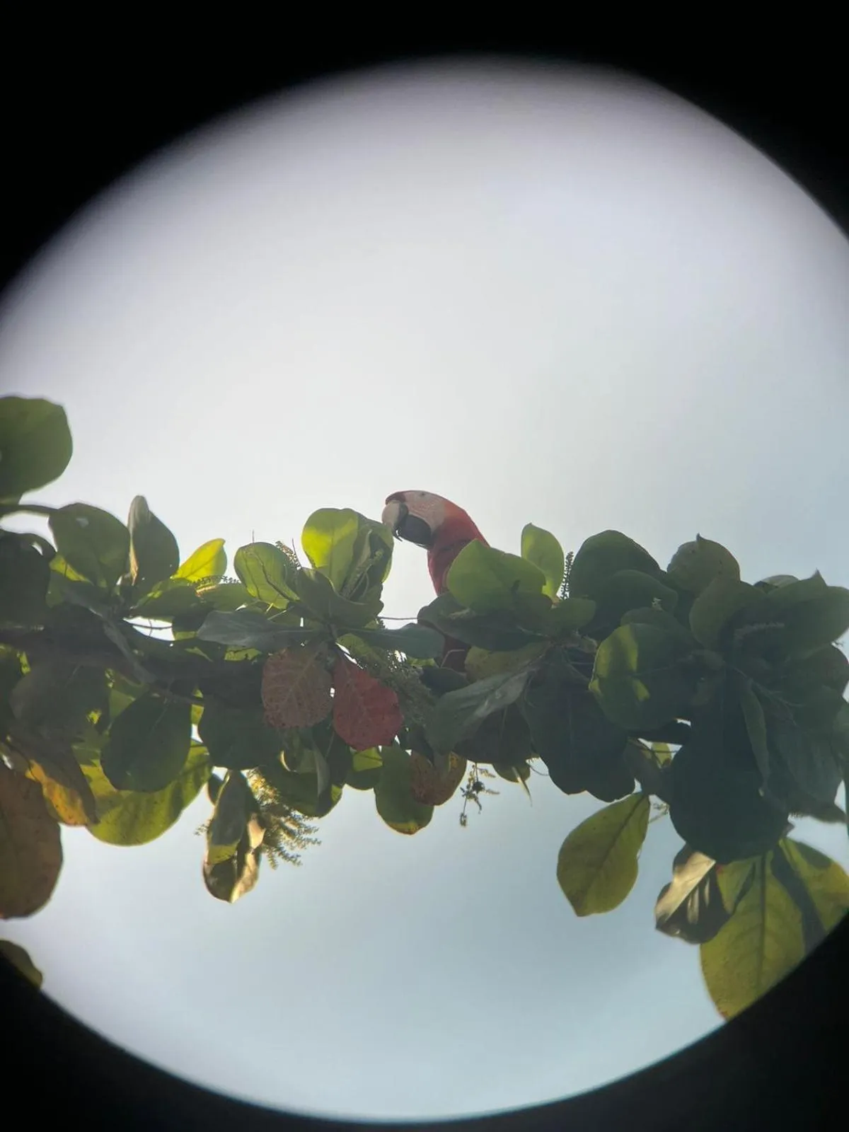 Property building in La Sirena Playa Jacó