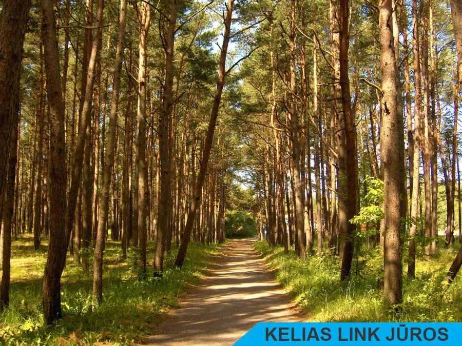 Area and facilities in Beluga