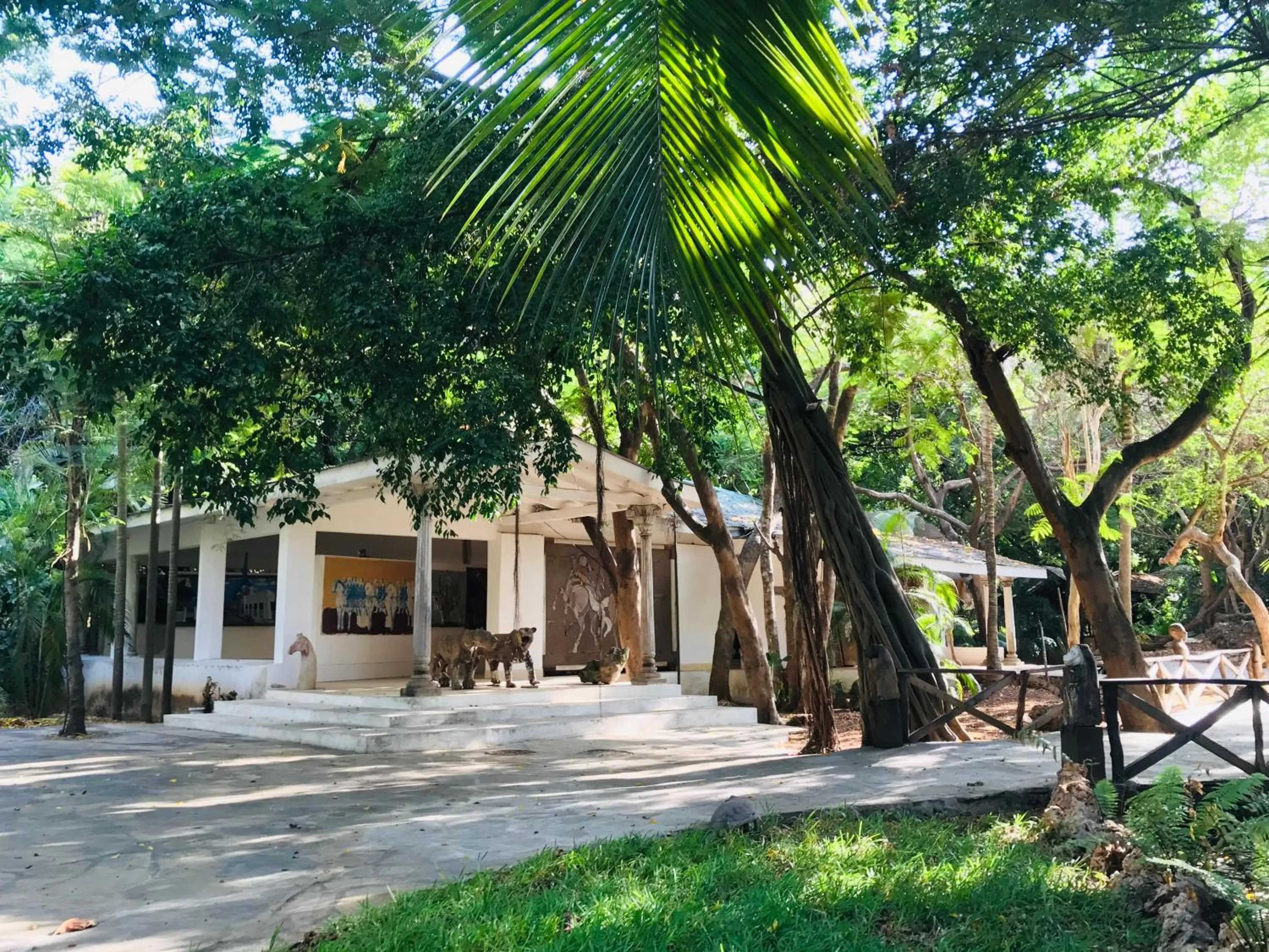 Activities in White Elephant Sea Lodge