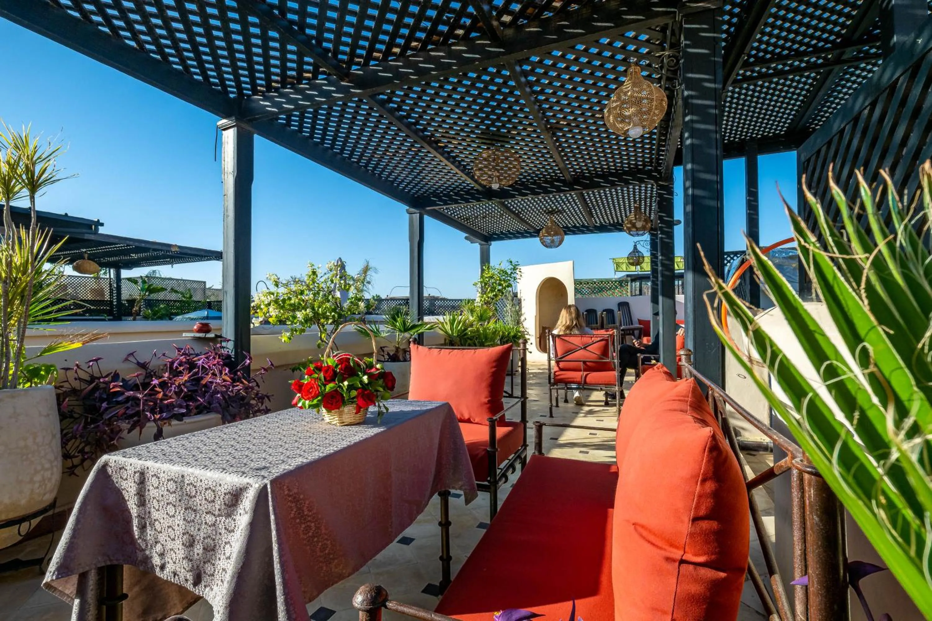 Garden in Riad La Croix Berbere Deluxe