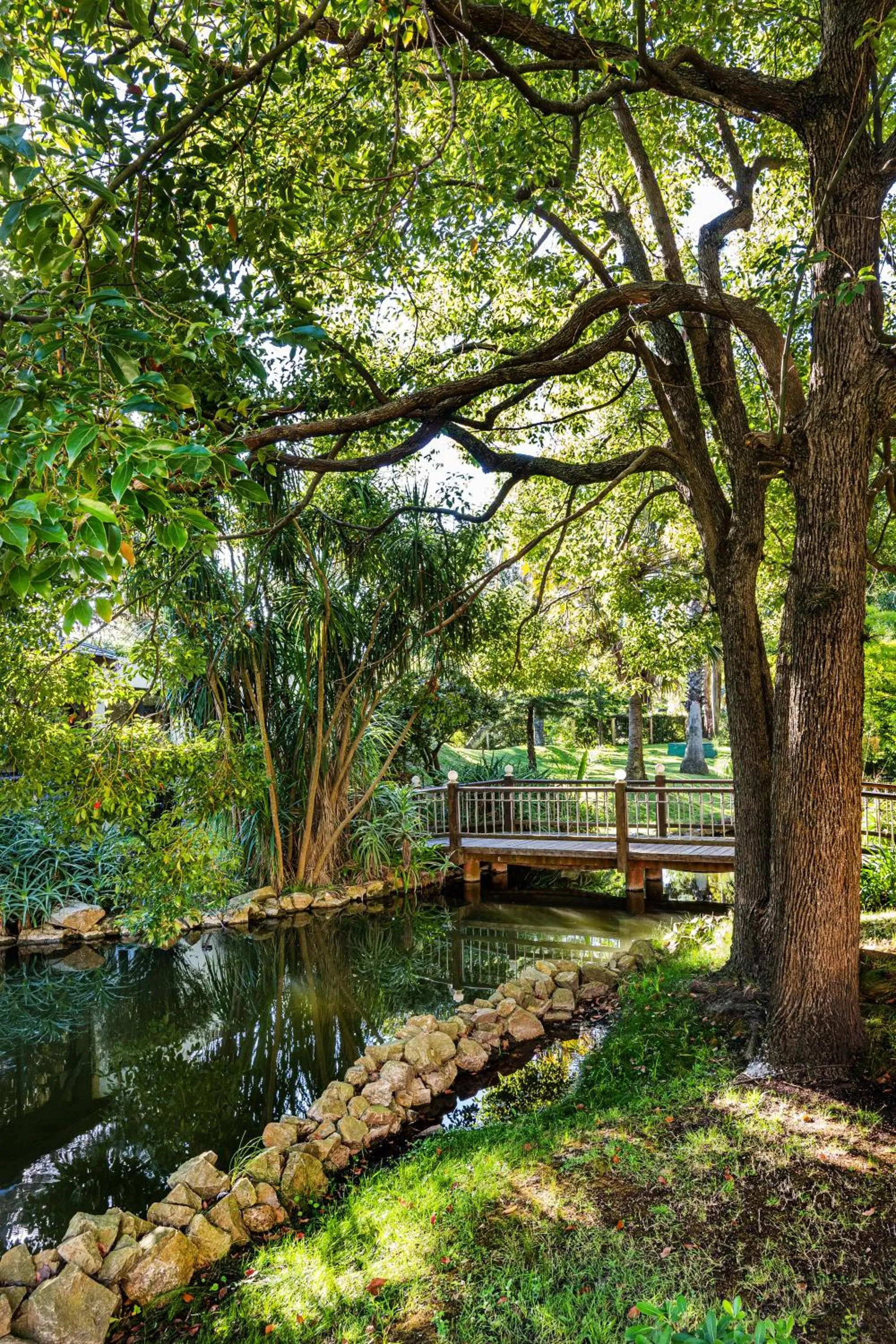 Natural landscape in Parque Hotel Jean Clevers