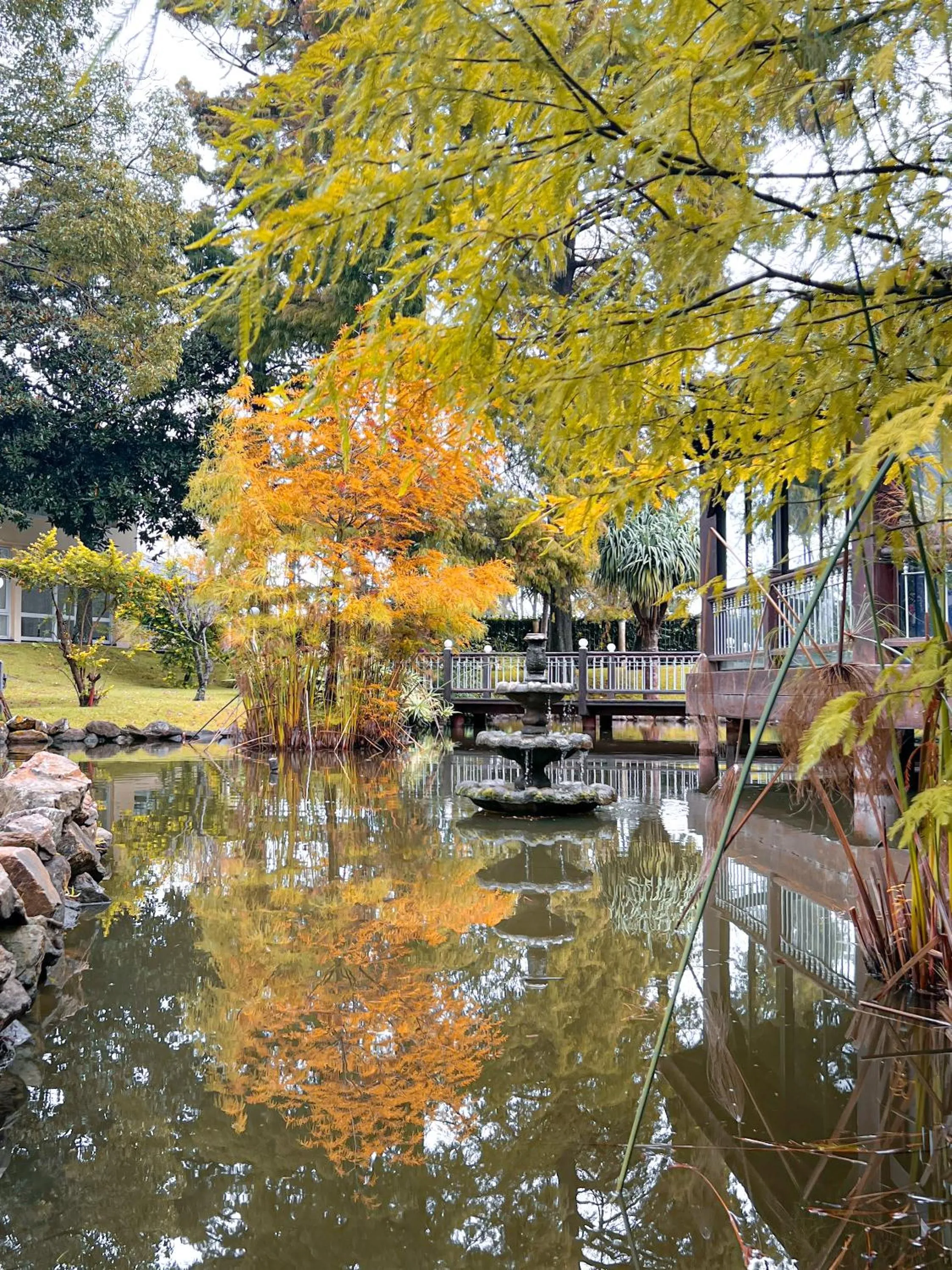 Natural landscape in Parque Hotel Jean Clevers