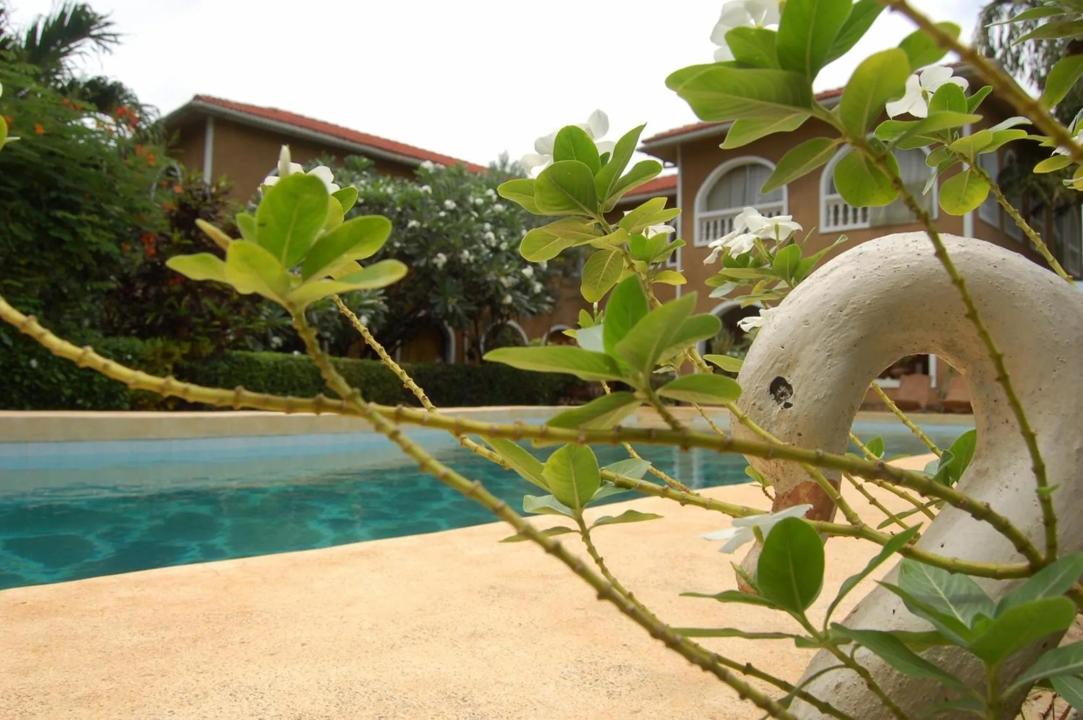 Property building in JoysVilla Family Holiday Home