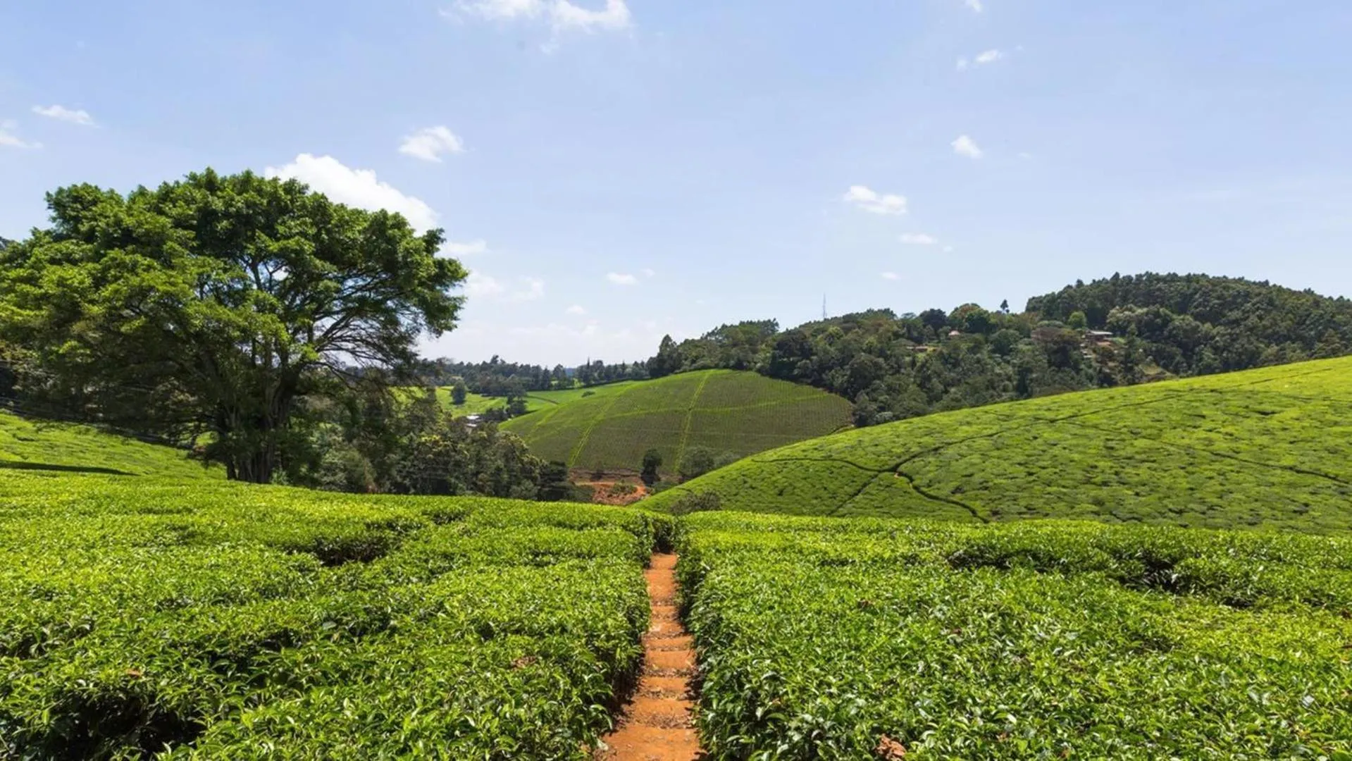 On site in Villa Rosa Kempinski