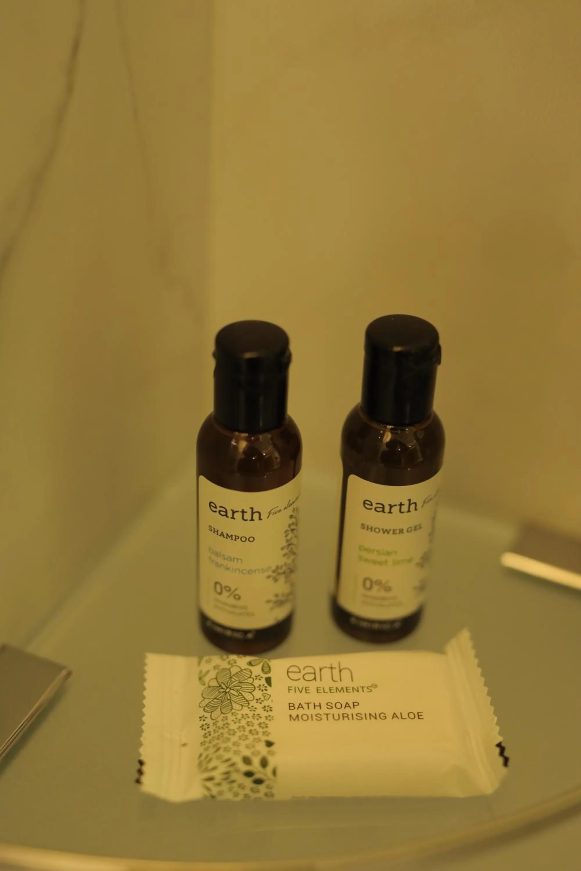 Shower in Best Western Darbar