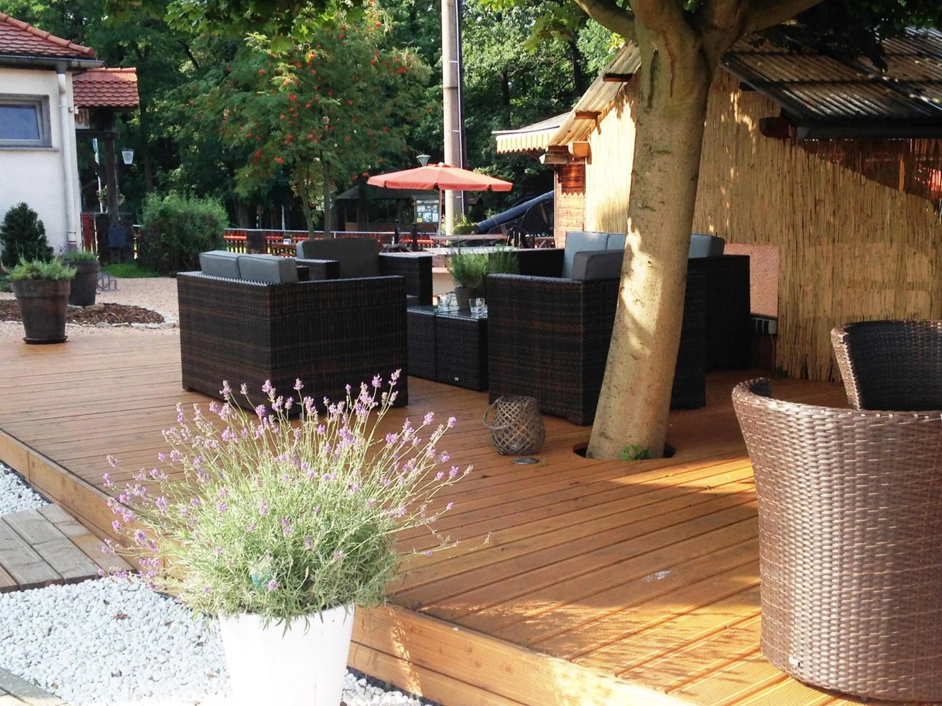 Balcony/Terrace in Hotel zur Kanone