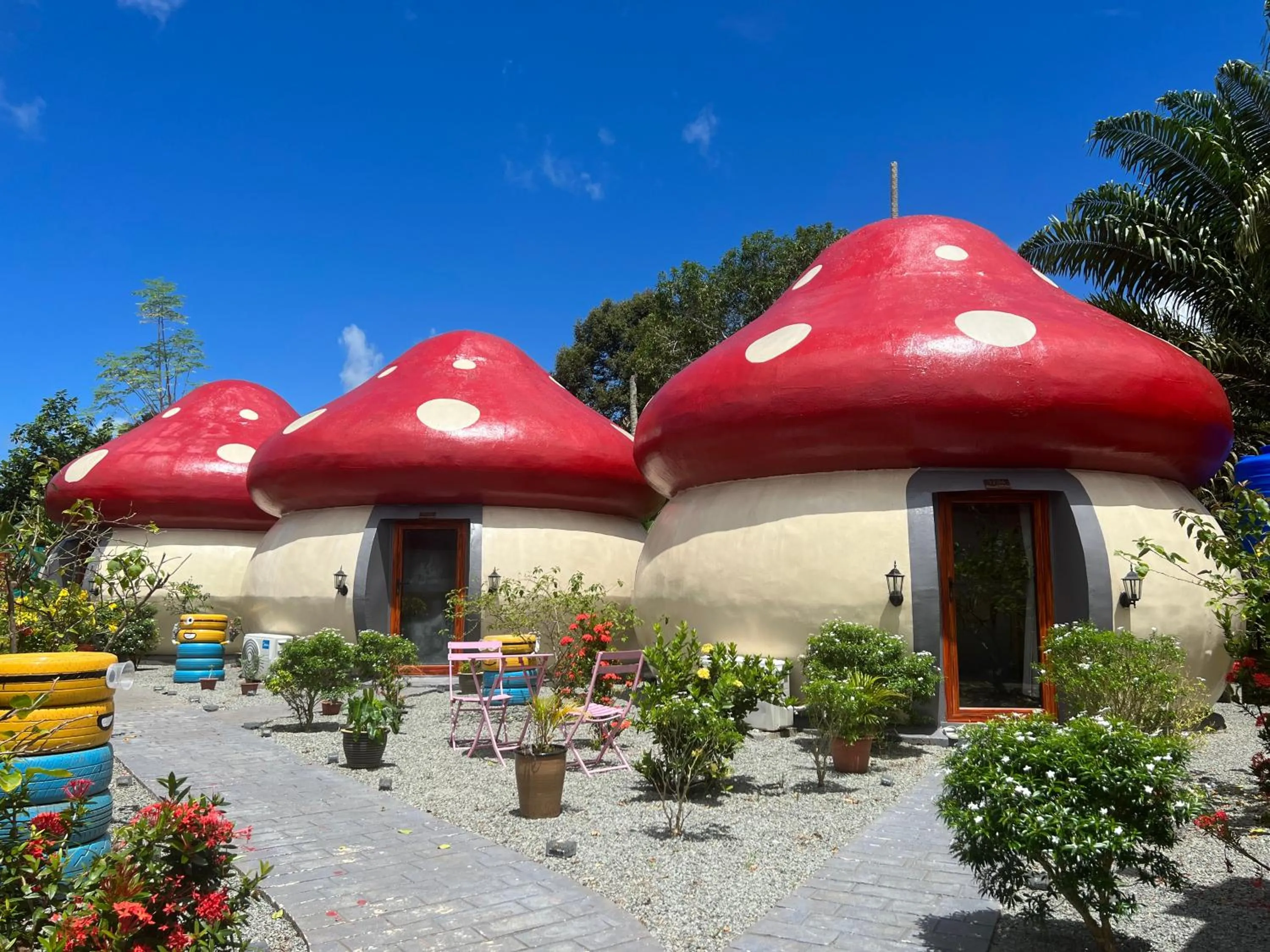 MUSHROOMS INN