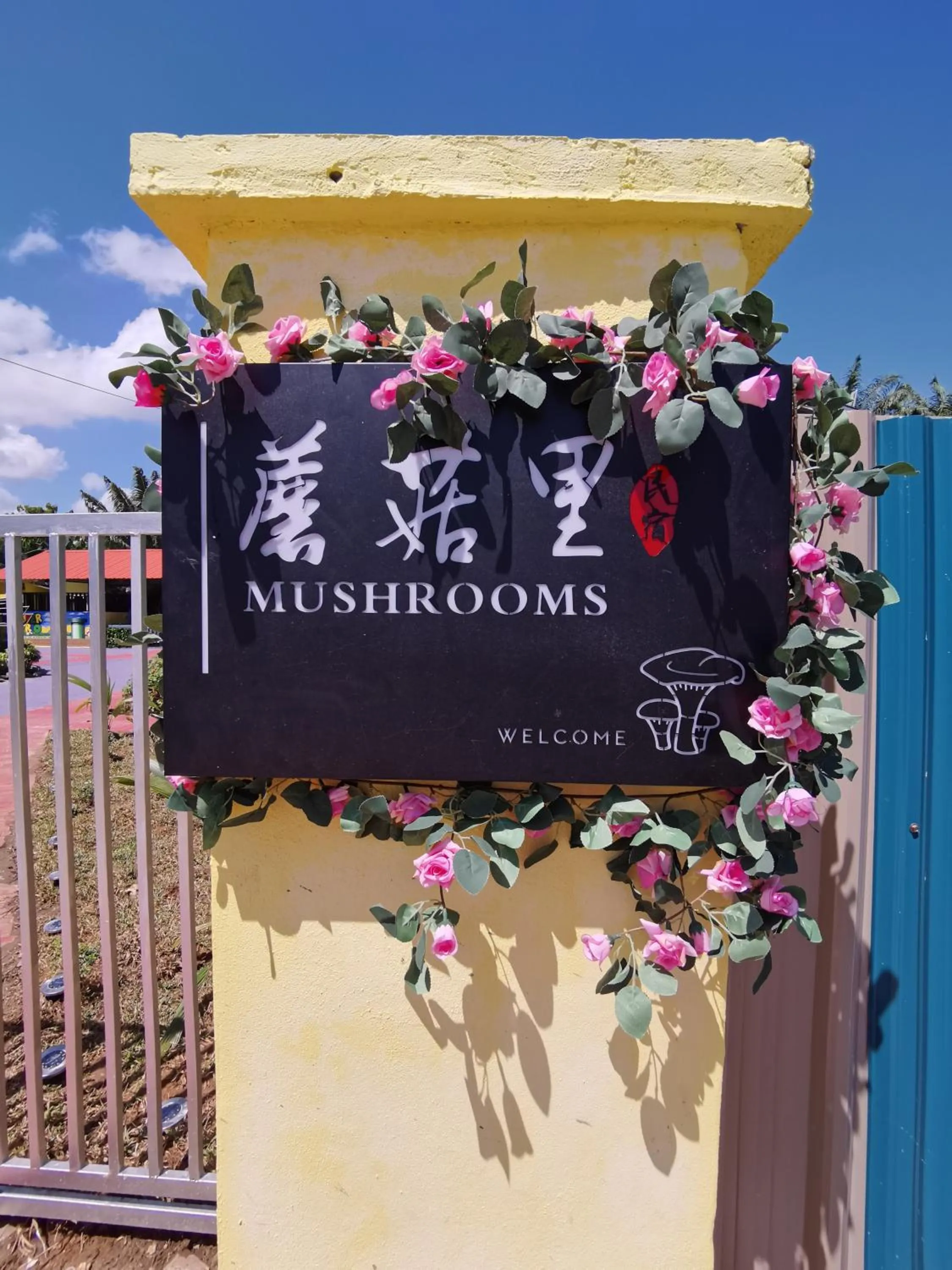 MUSHROOMS INN