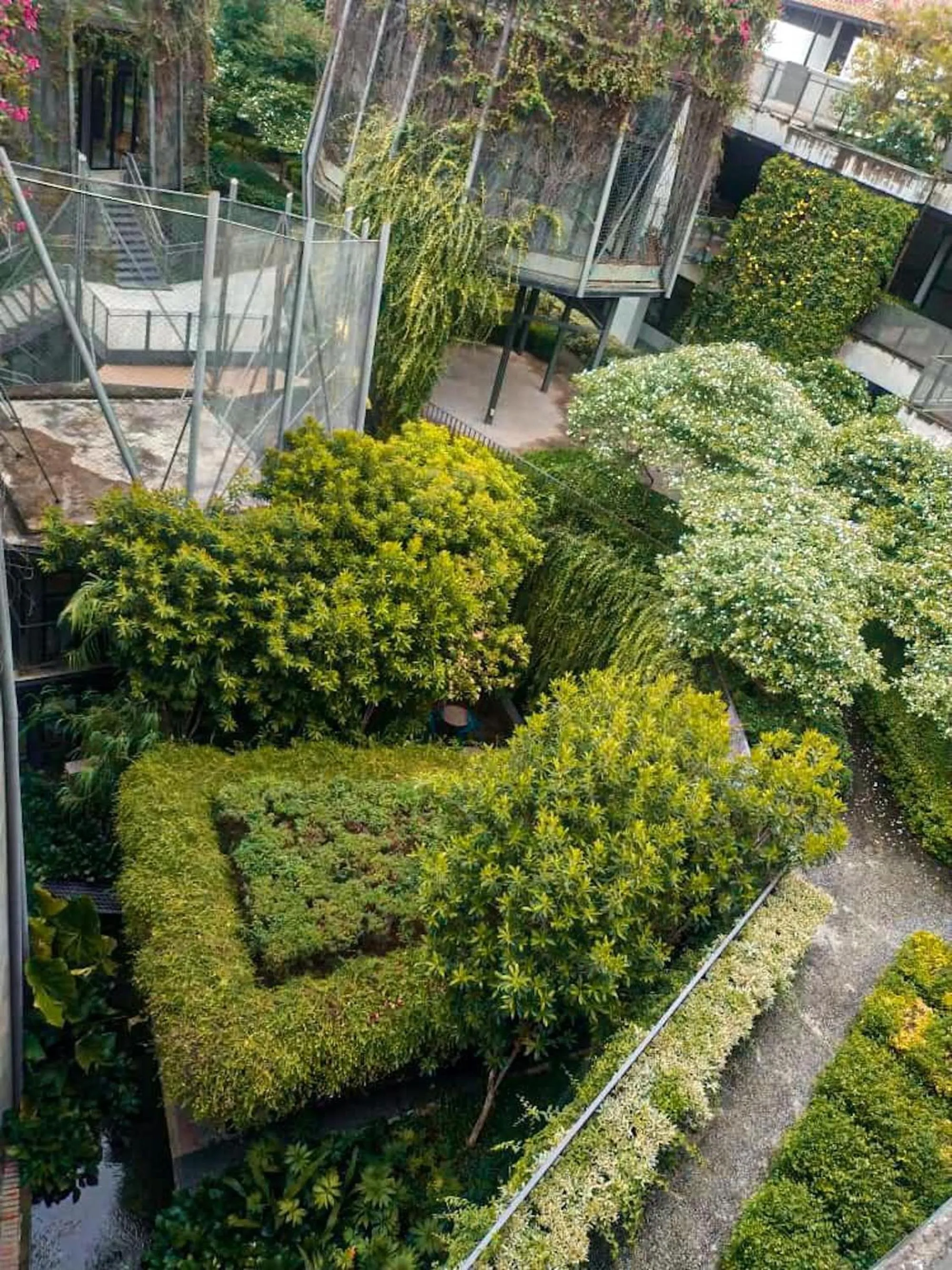 Garden in Tamarind Suite by DreamScape