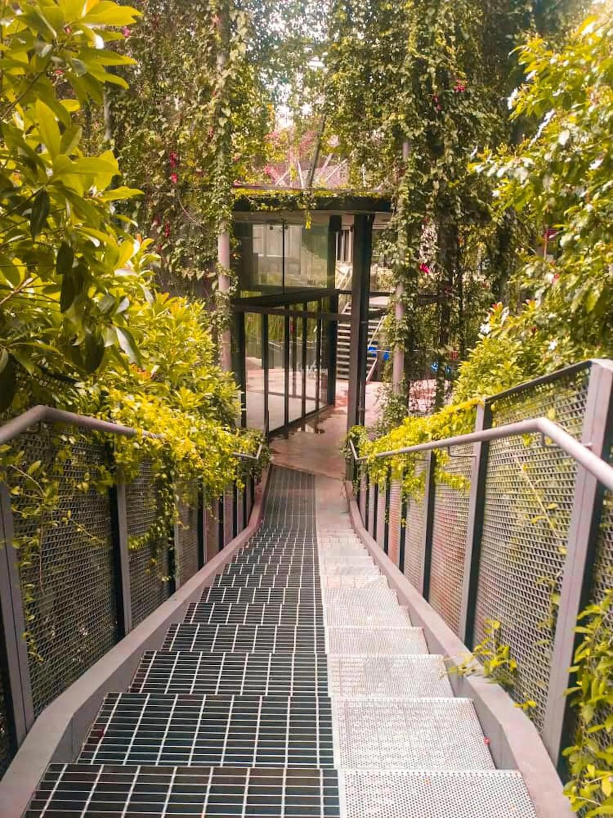 Garden in Tamarind Suite by DreamScape