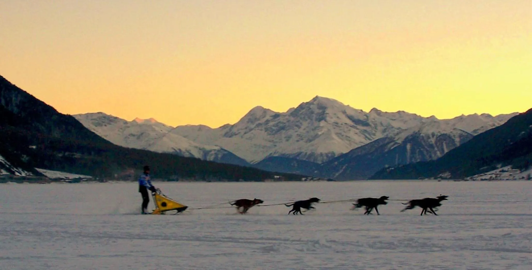 Animals in Hotel Etschquelle