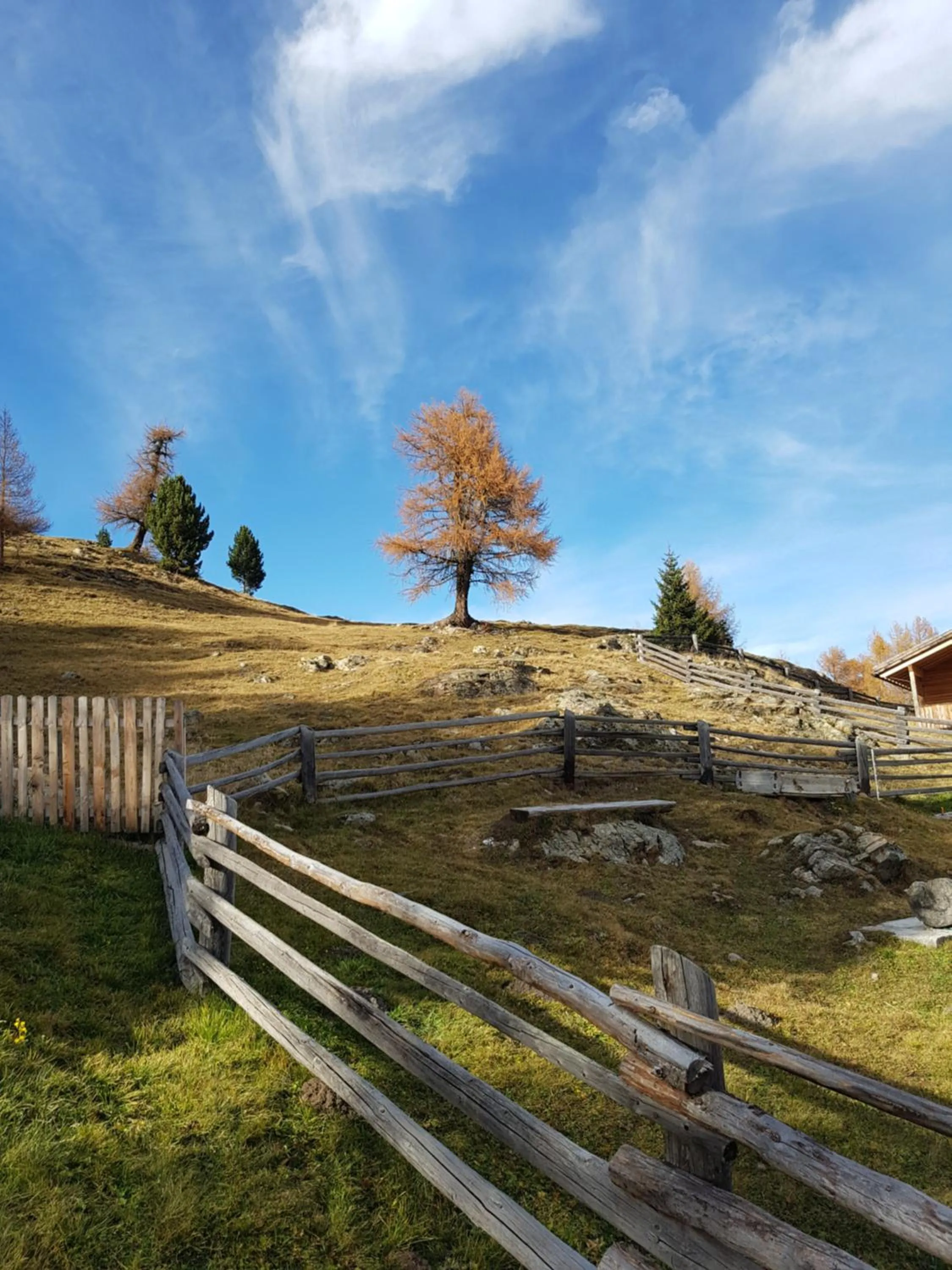 Natural landscape in Hotel Etschquelle