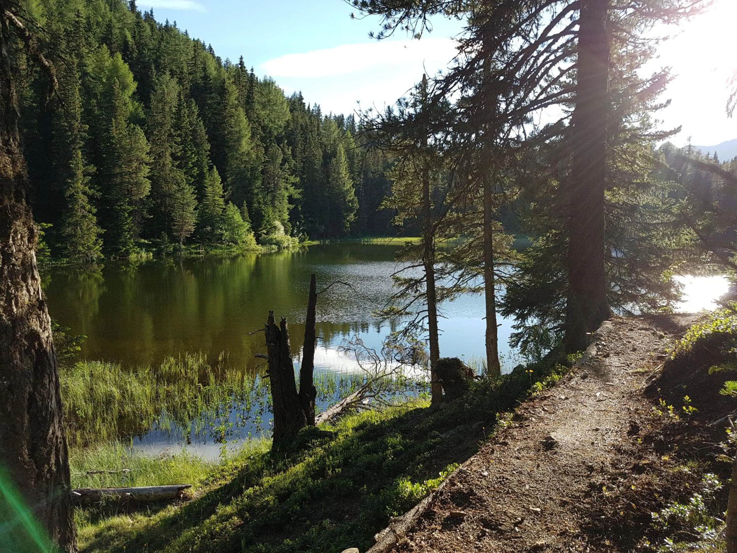 Natural landscape in Hotel Etschquelle