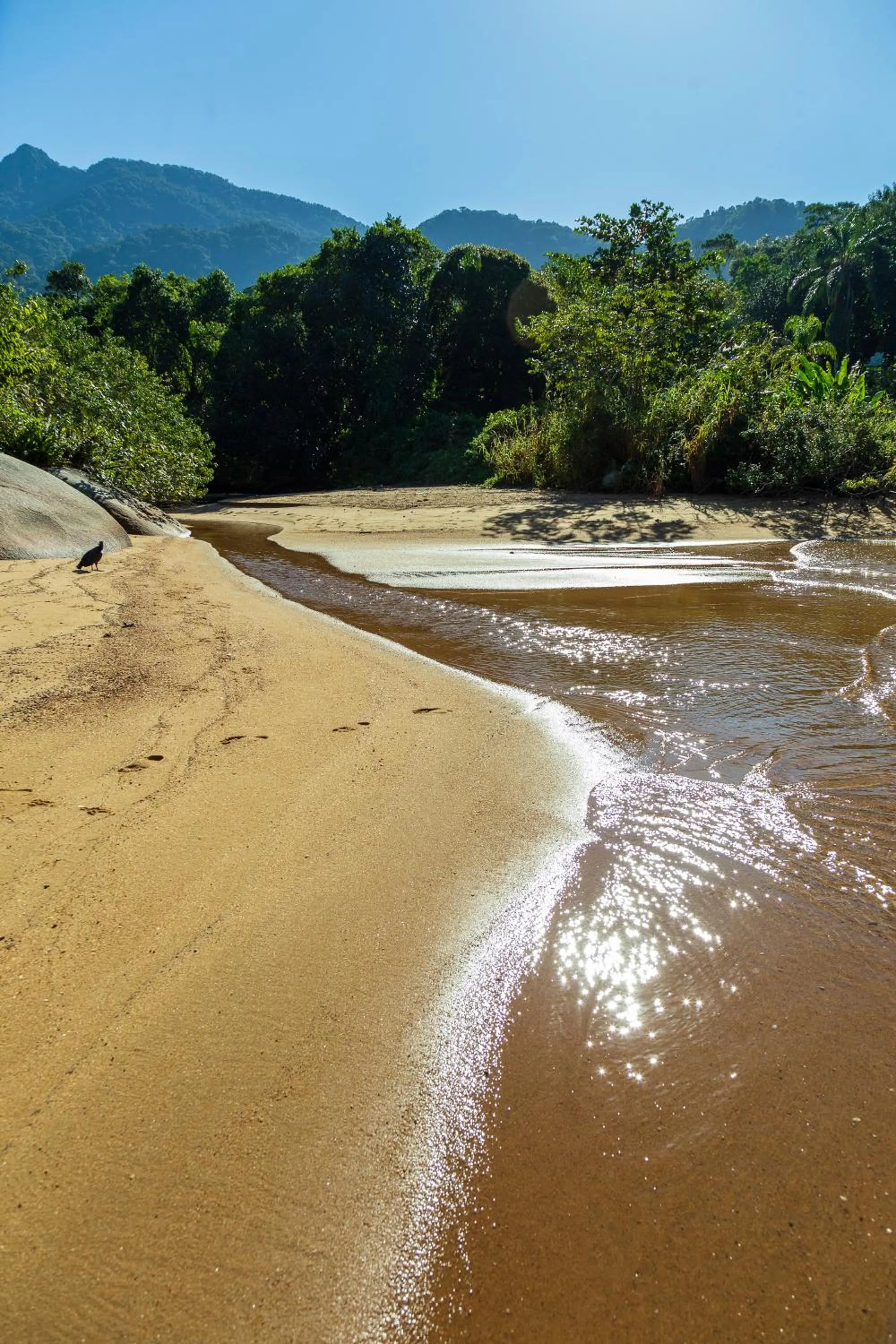 Natural landscape in Pousada Quatro Estações Paraty
