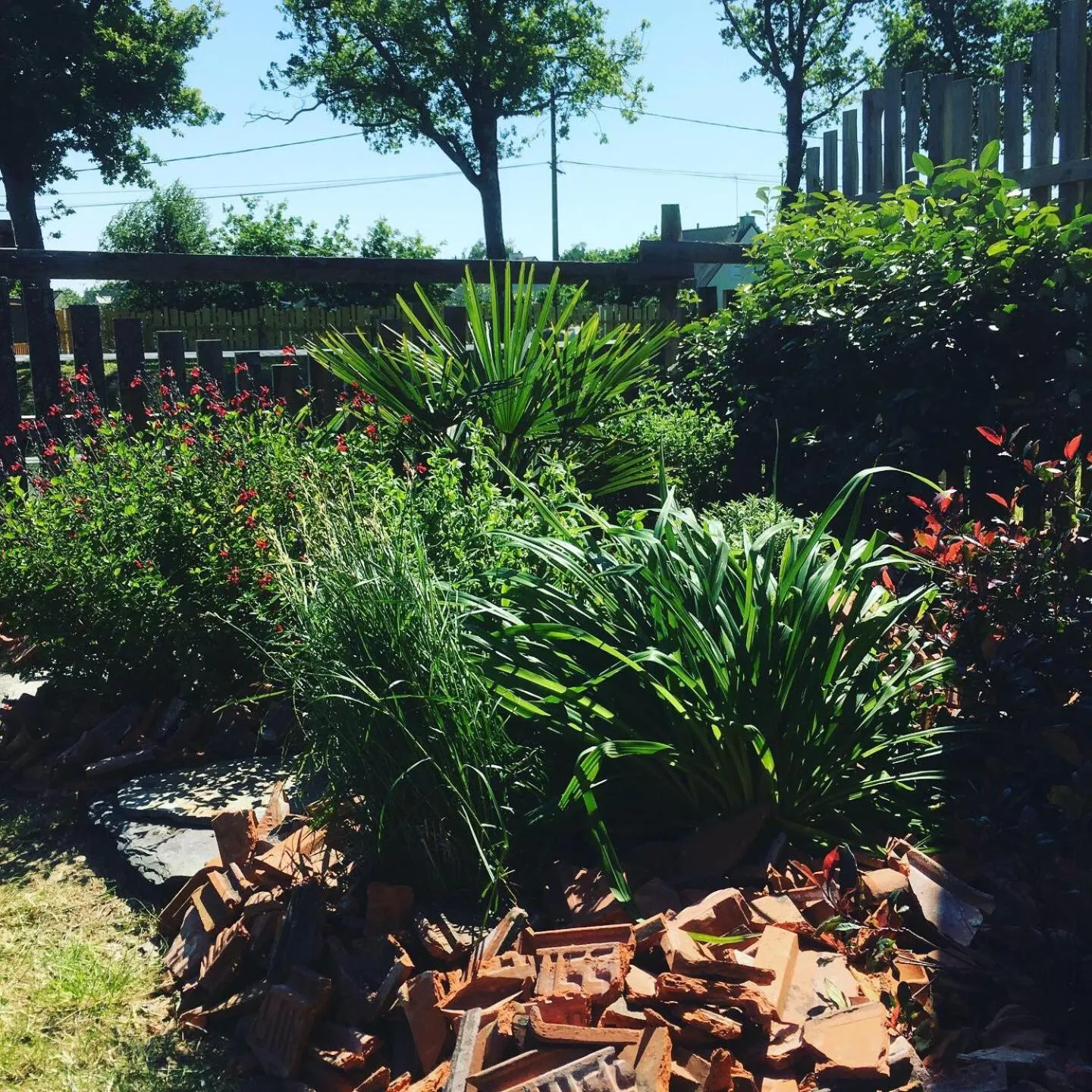 Garden in L'échappée Saline