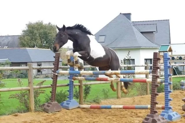 Activities in L'échappée Saline