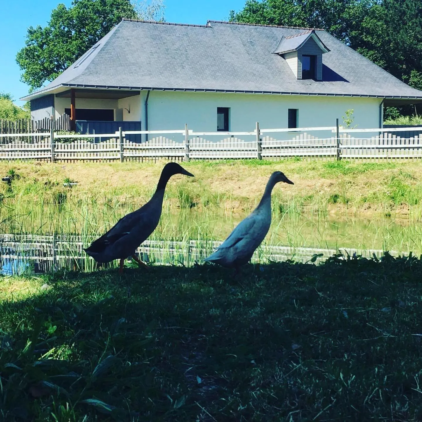 Garden in L'échappée Saline