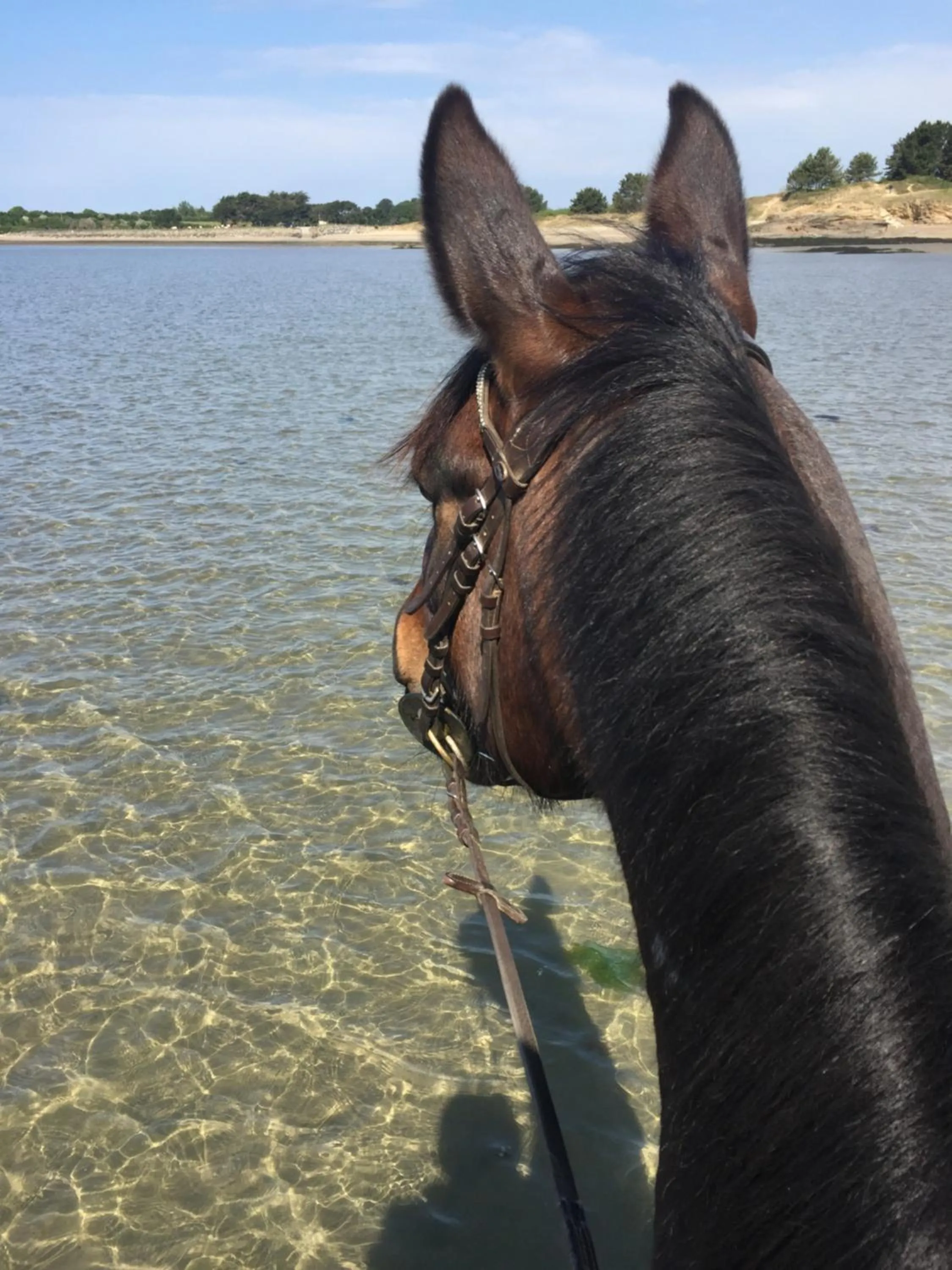 Activities in L'échappée Saline