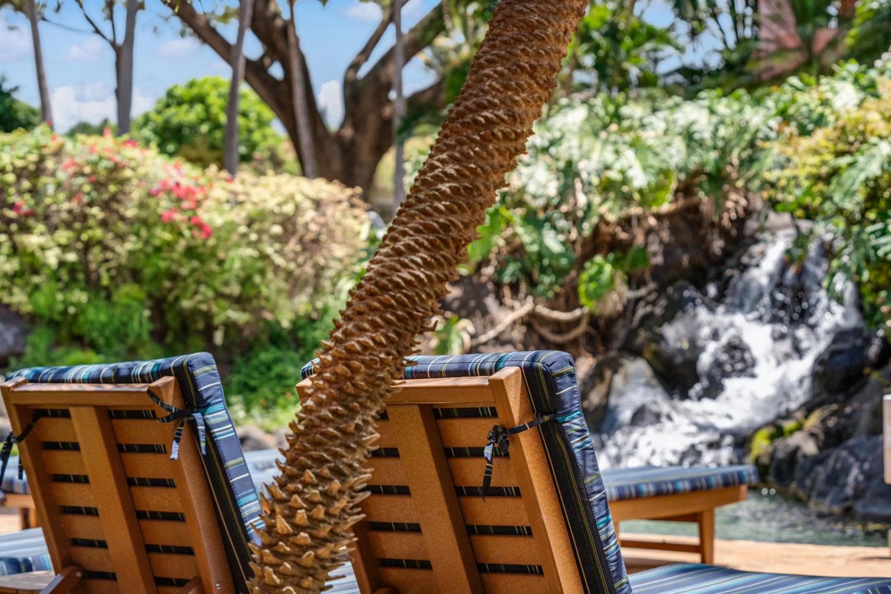 Day in Kahana Falls Resort