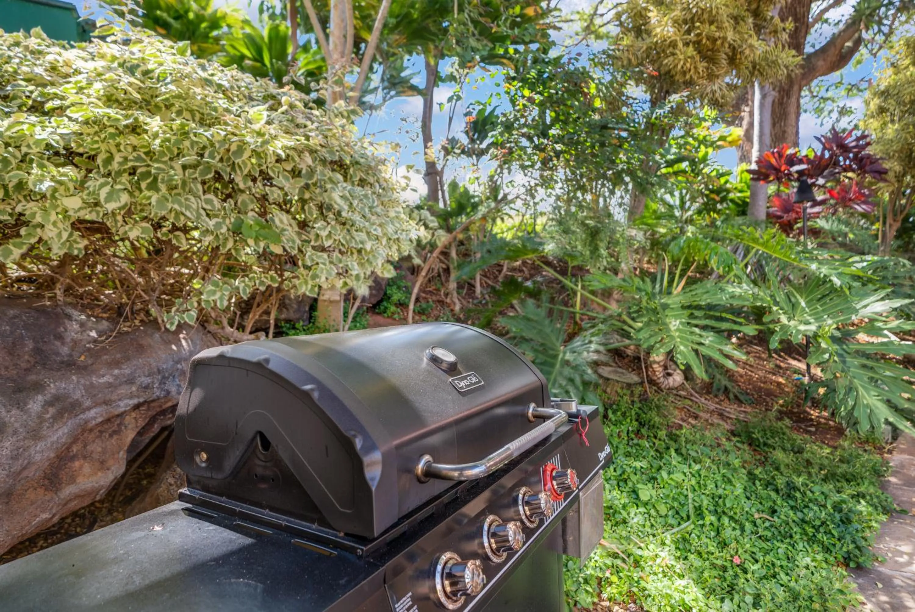 Spring in Kahana Falls Resort