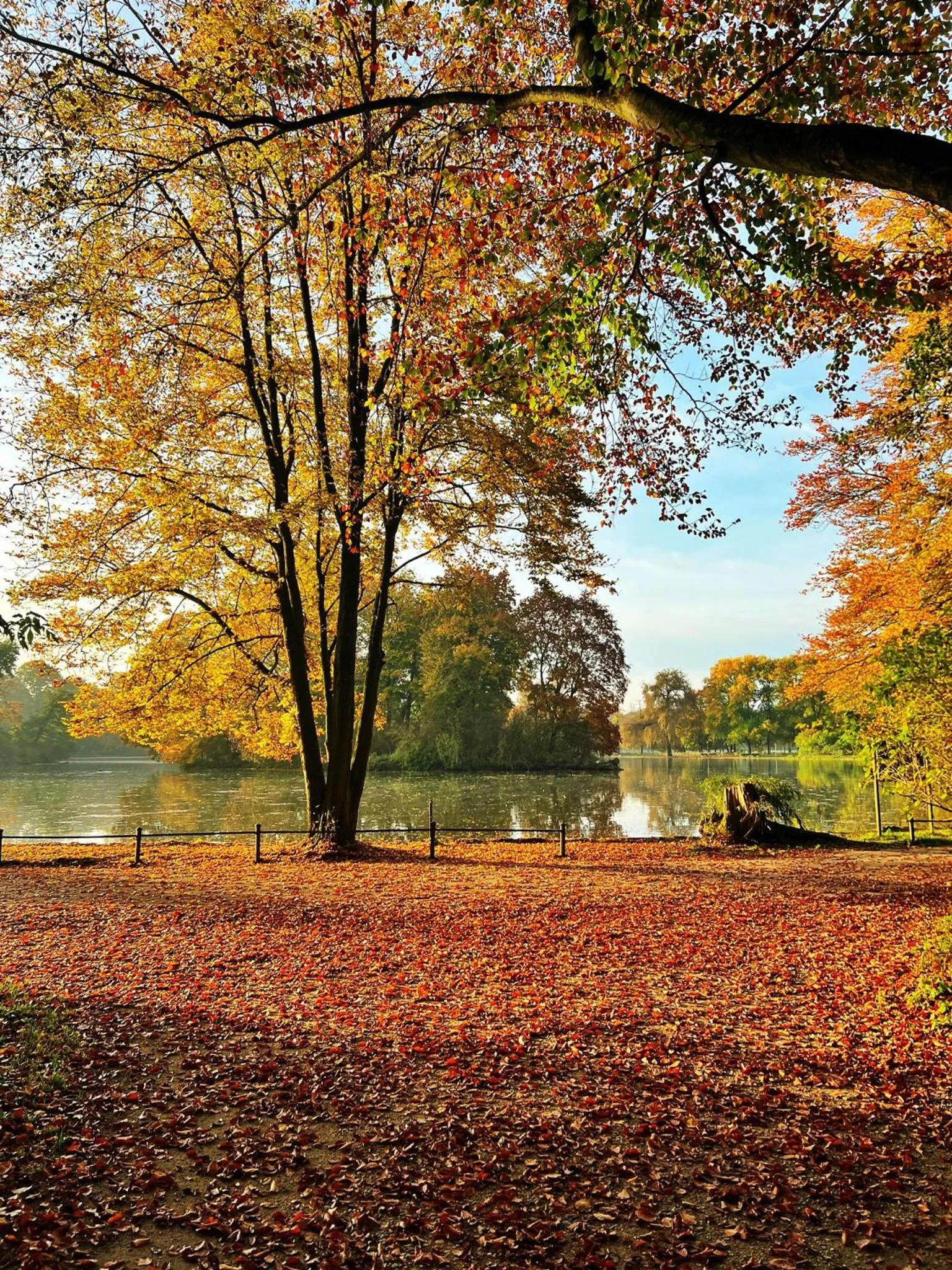 Other in Hotel Occam