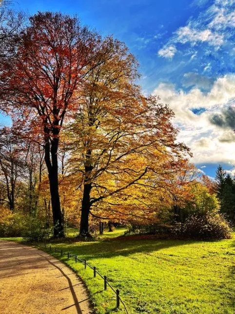 Area and facilities in Hotel Occam