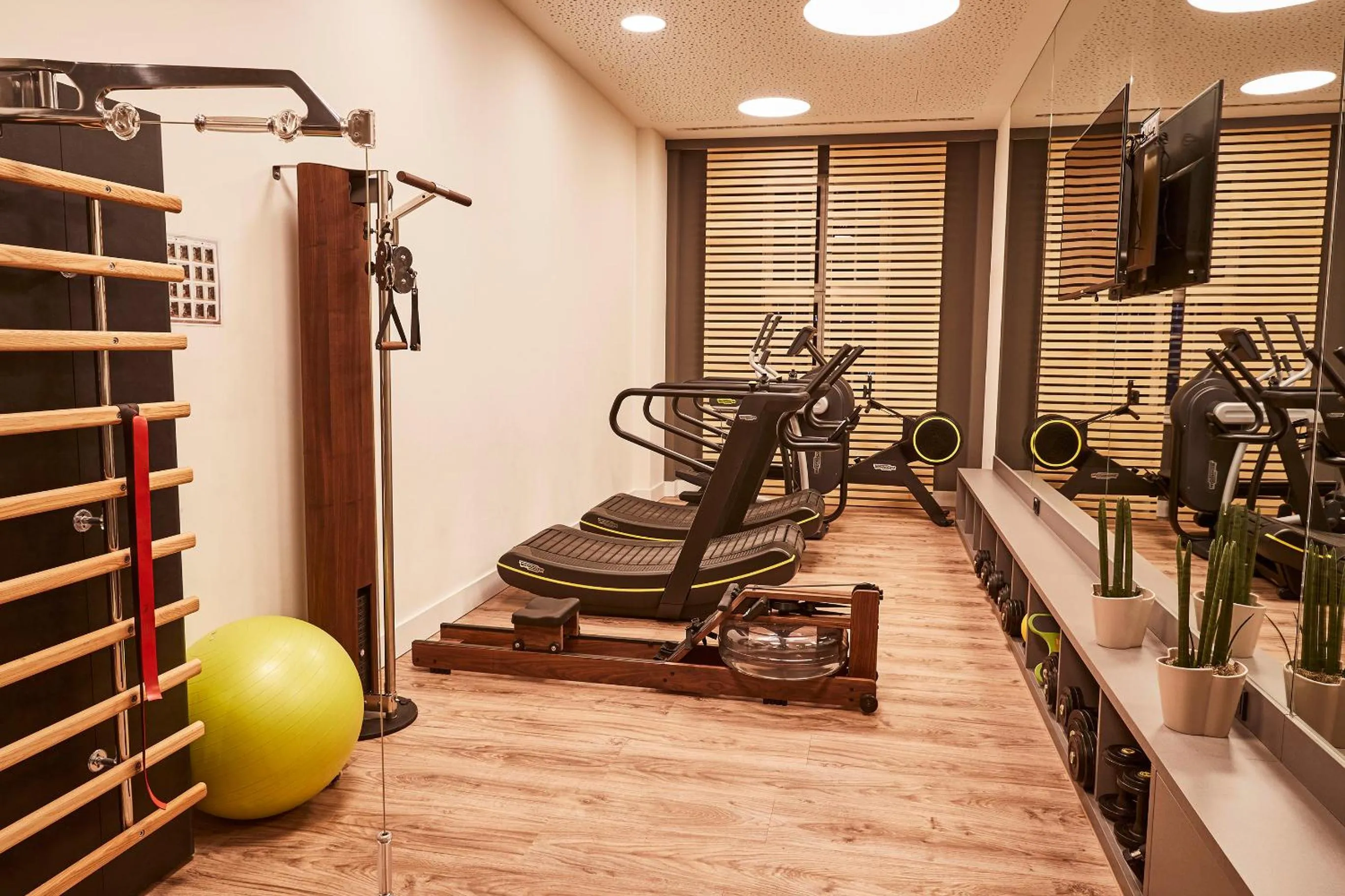 Fitness centre/facilities in Hotel Taschenbergpalais Kempinski