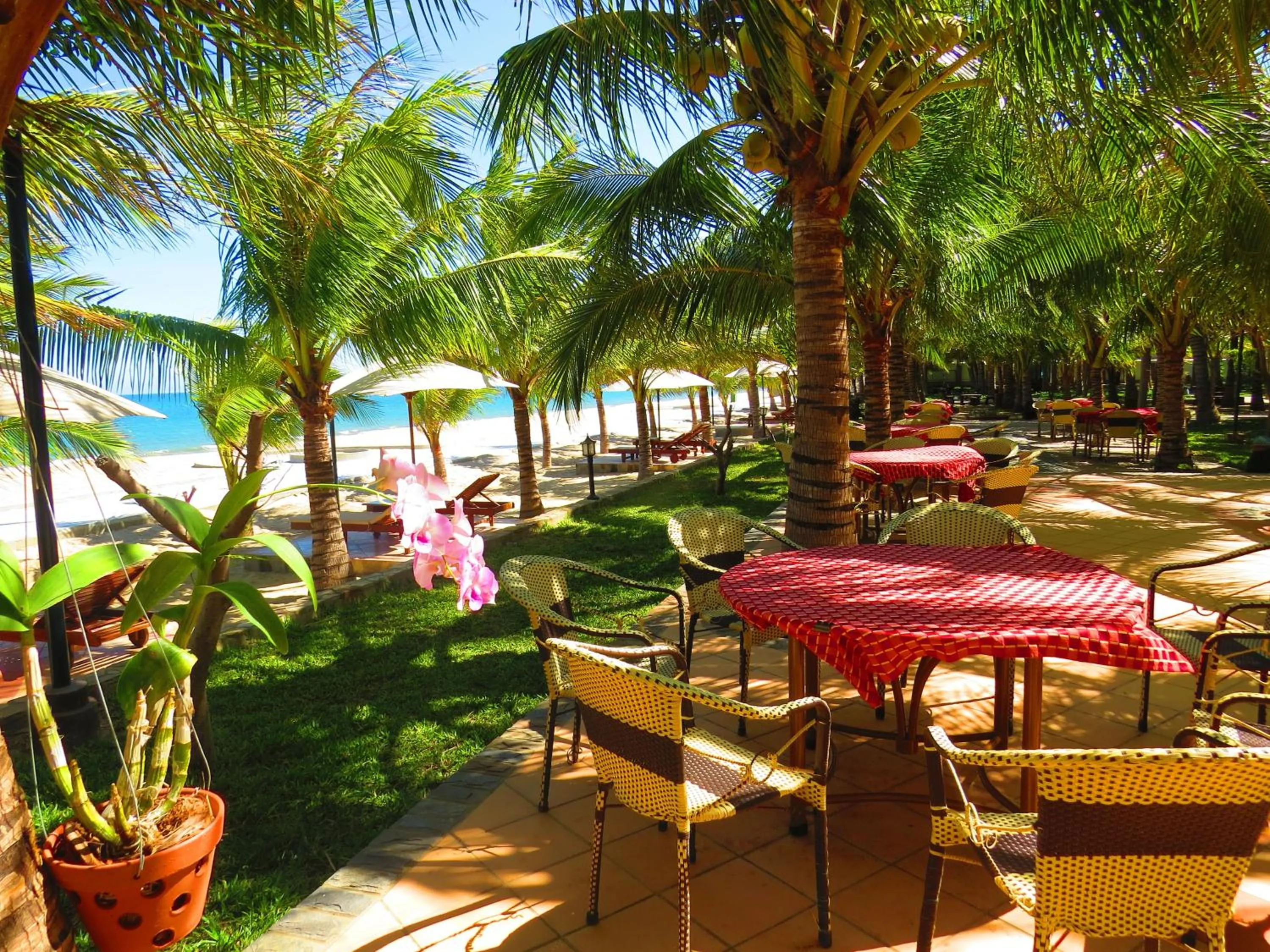 Restaurant/places to eat in Gold Rooster Resort