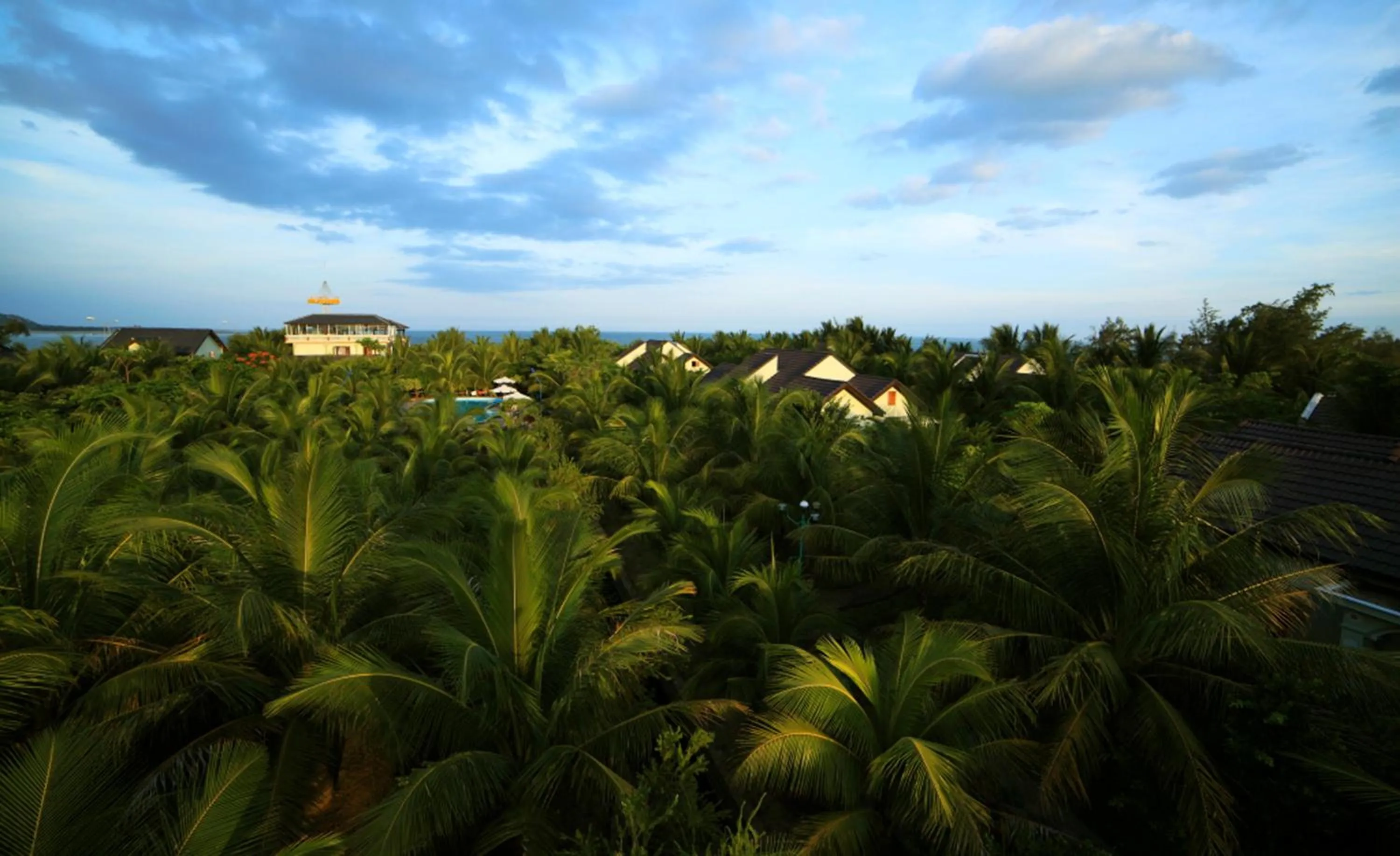 Bird's eye view in Gold Rooster Resort