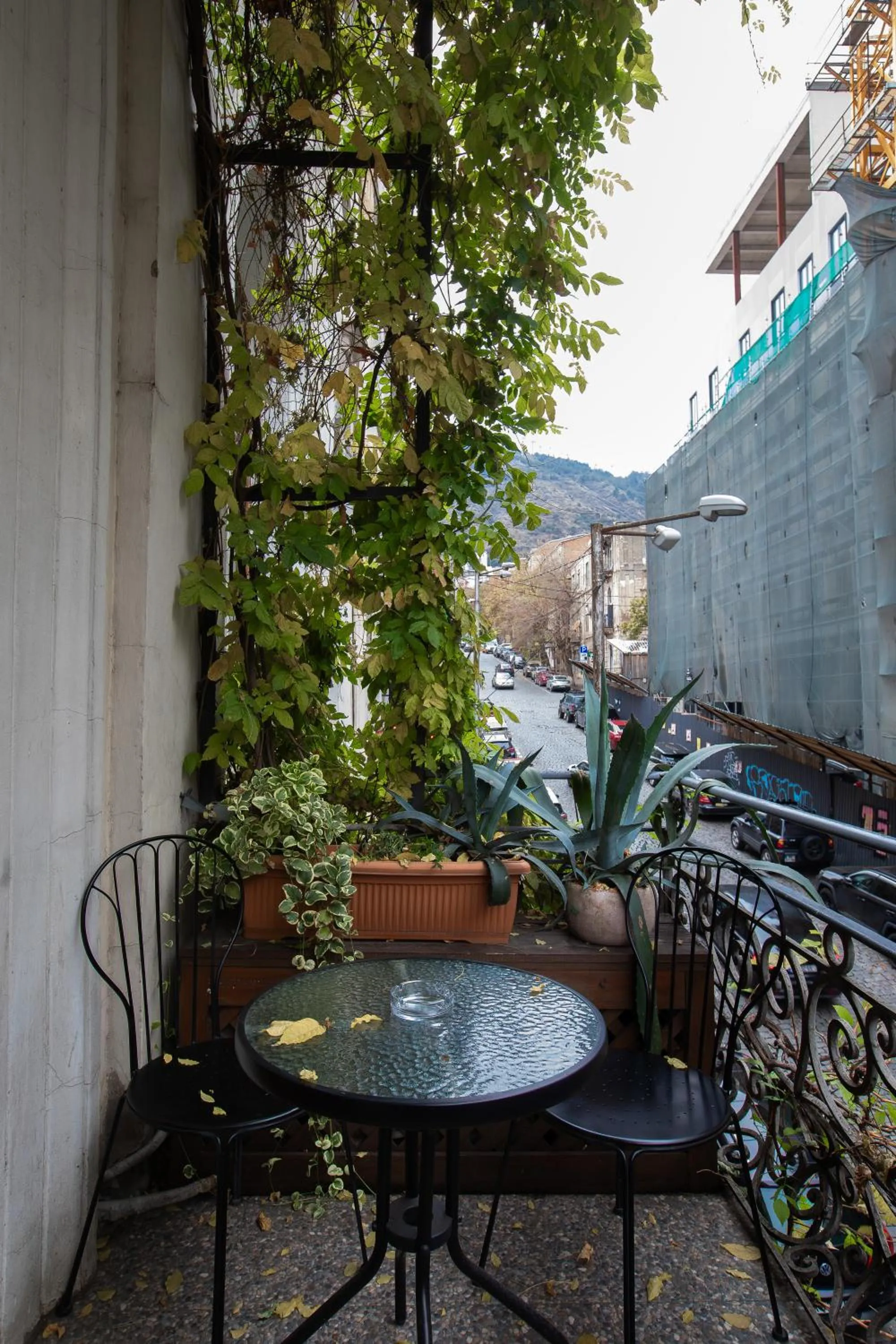 Day in Rustaveli Hotel