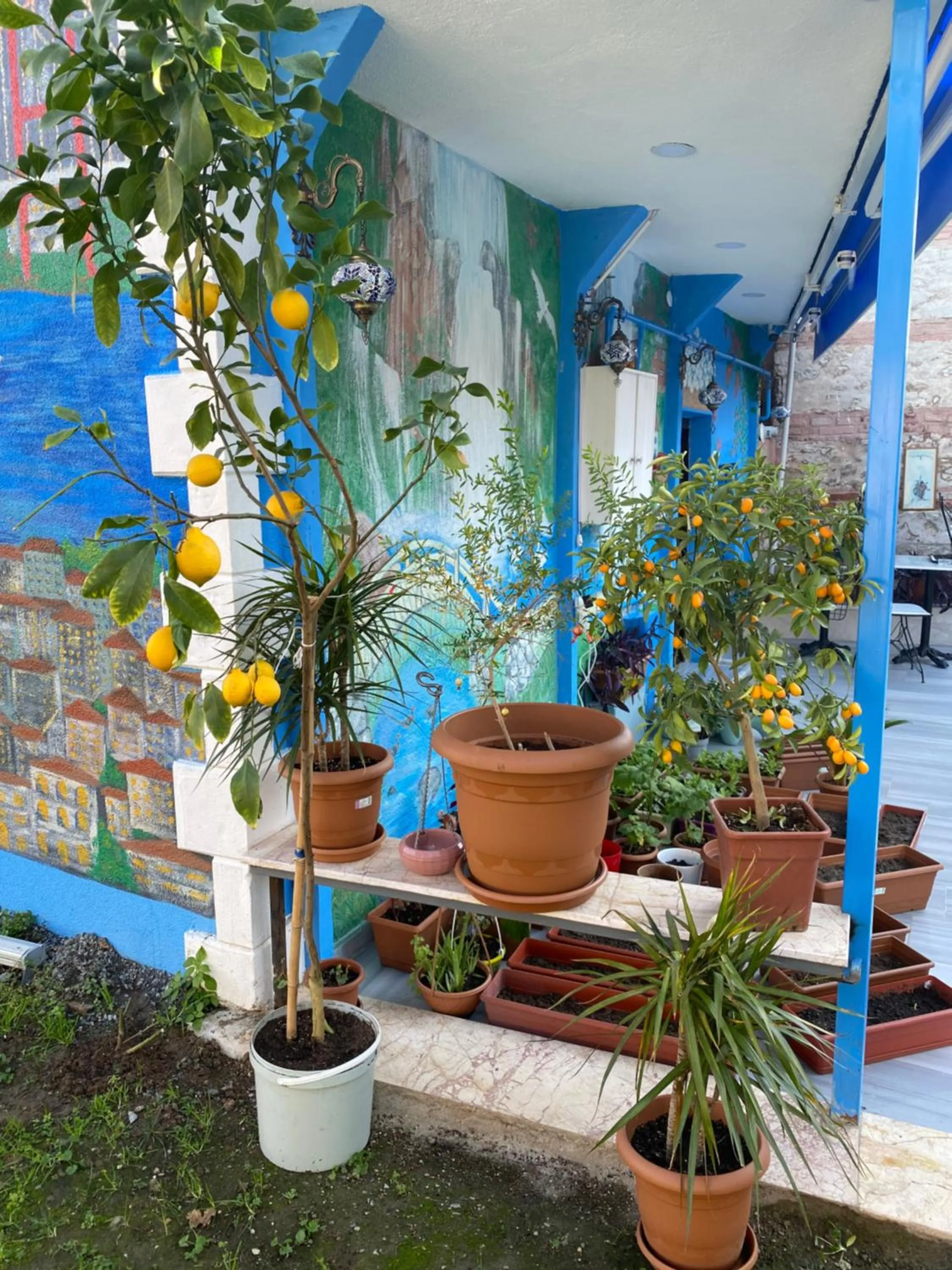 Breakfast in SULTANAHMET ıŞIL HOTEL