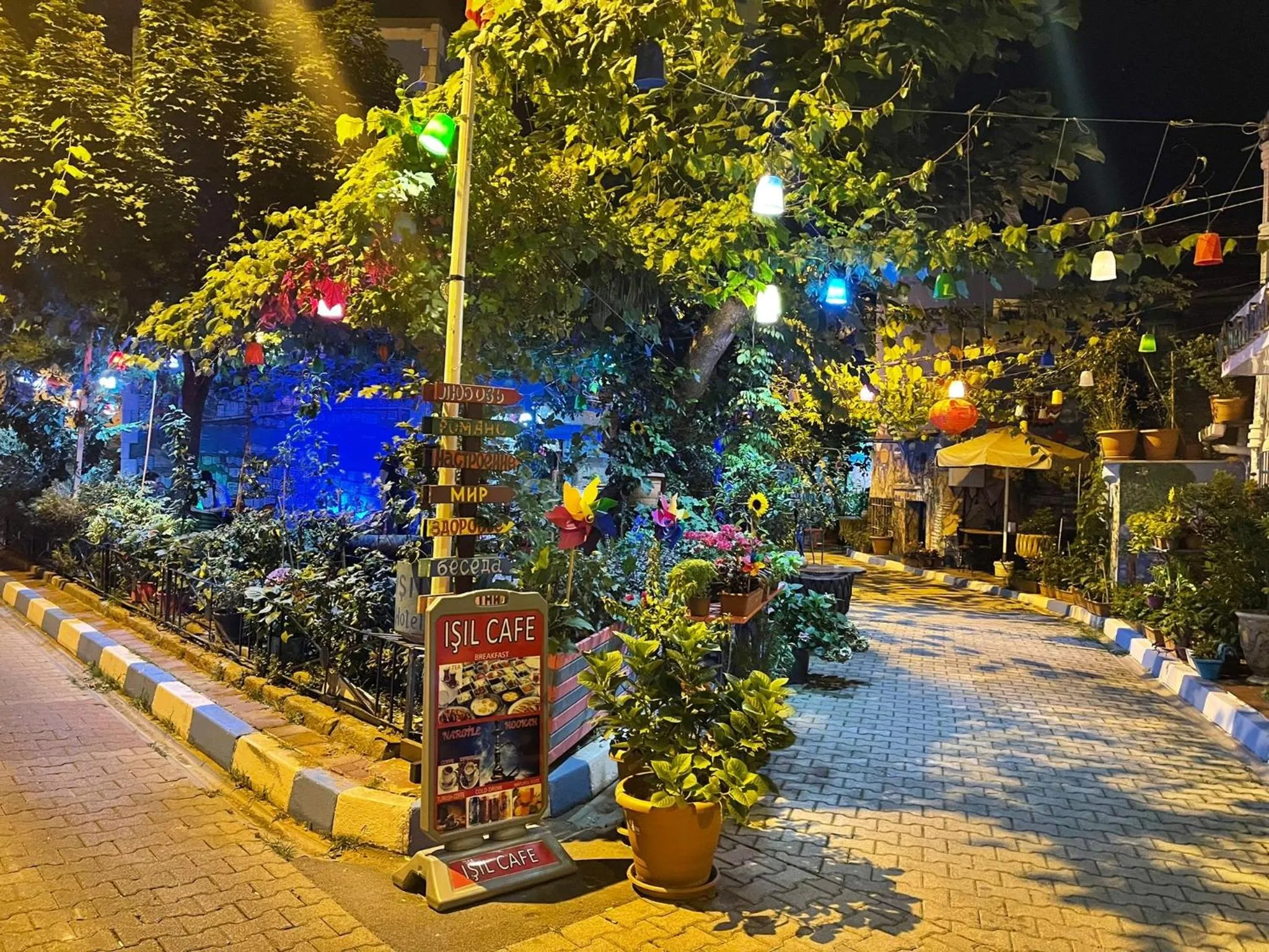 Night, Pool View in SULTANAHMET ıŞIL HOTEL