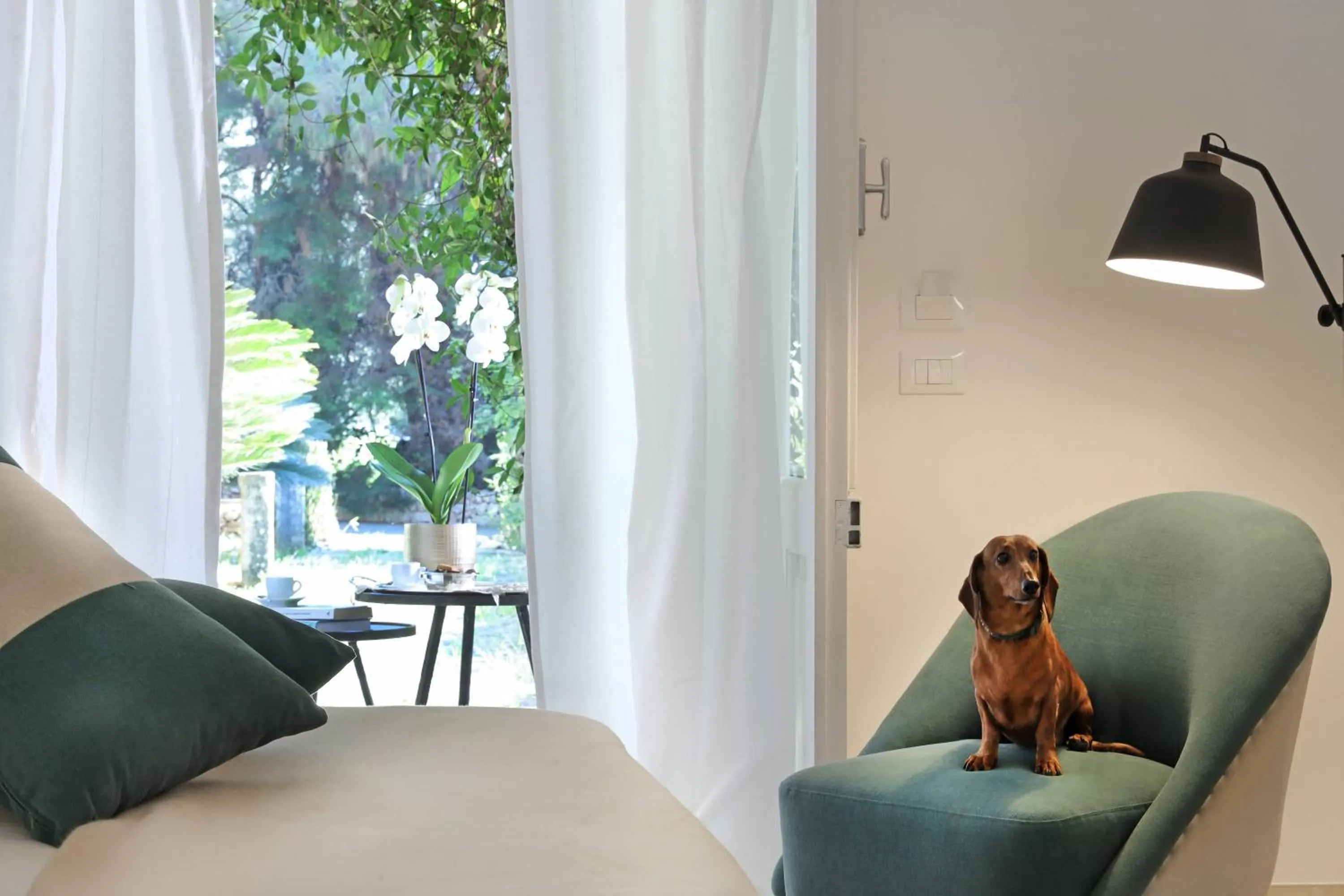 View (from property/room) in Maison D'Enrì