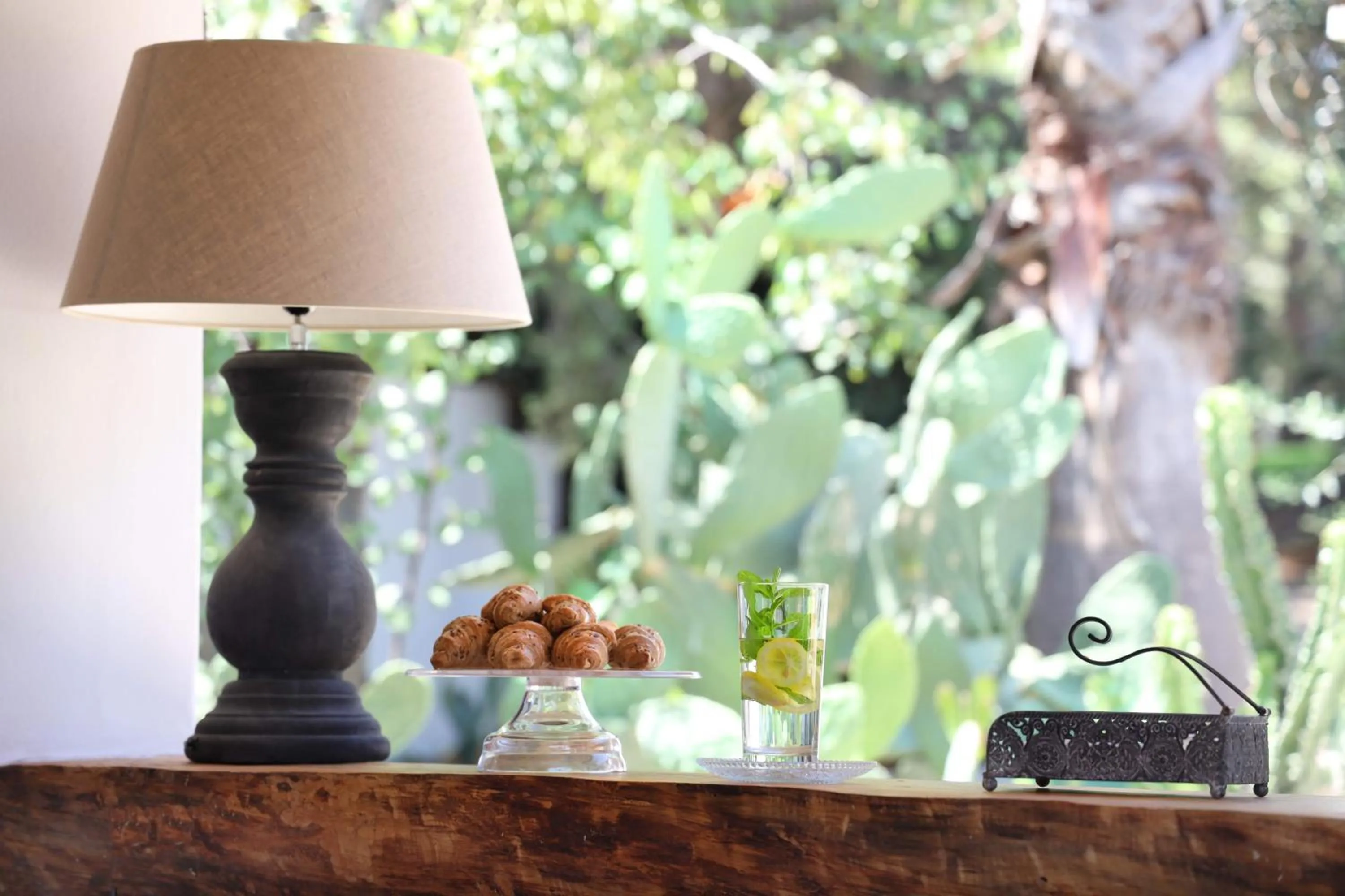 Garden in Maison D'Enrì