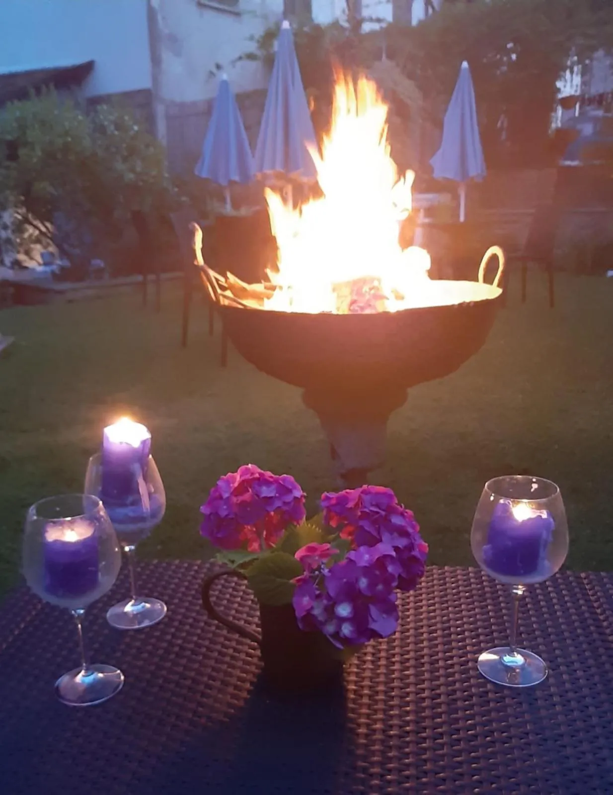 Garden in jasmine cottage