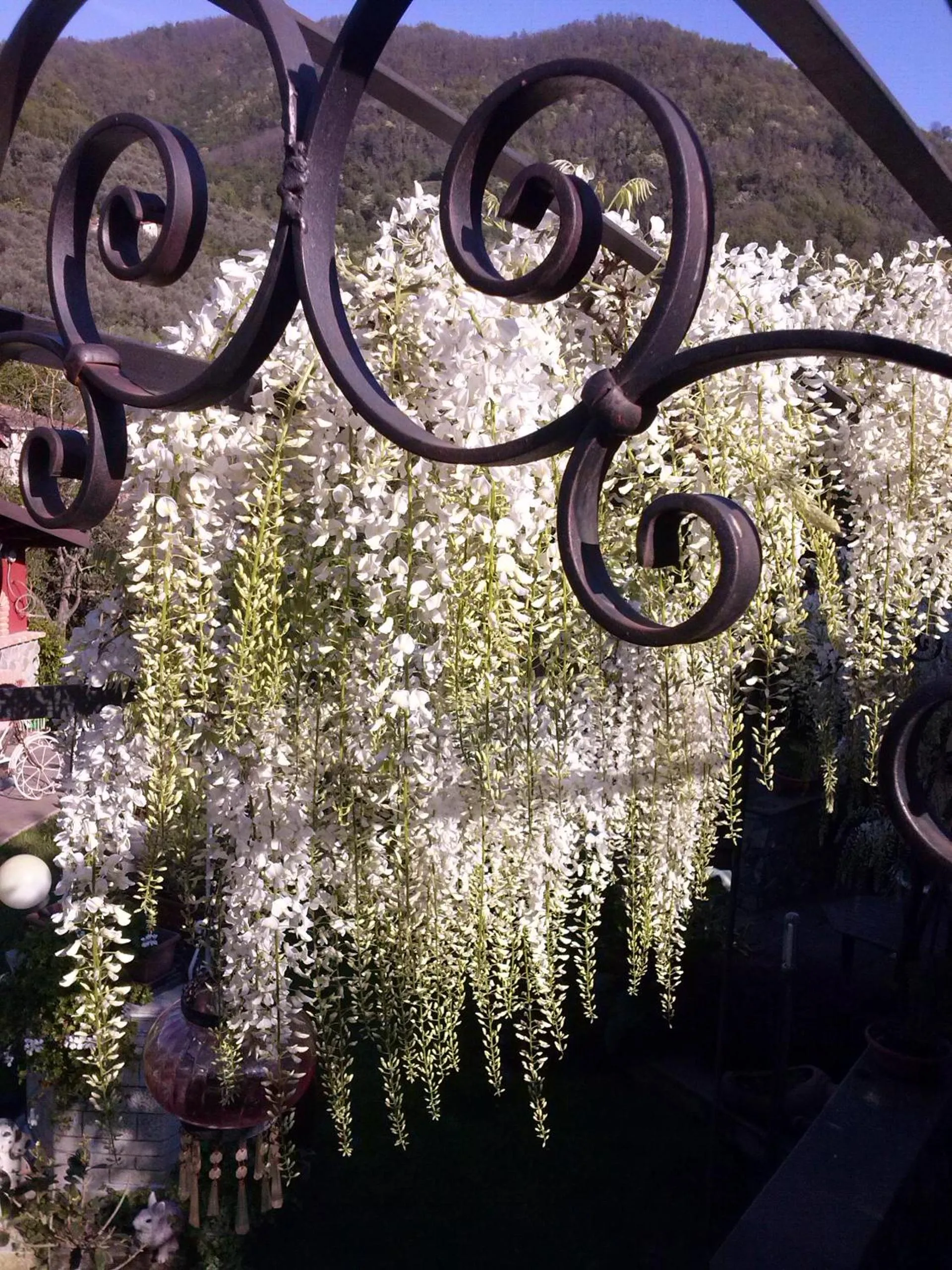Garden view in jasmine cottage