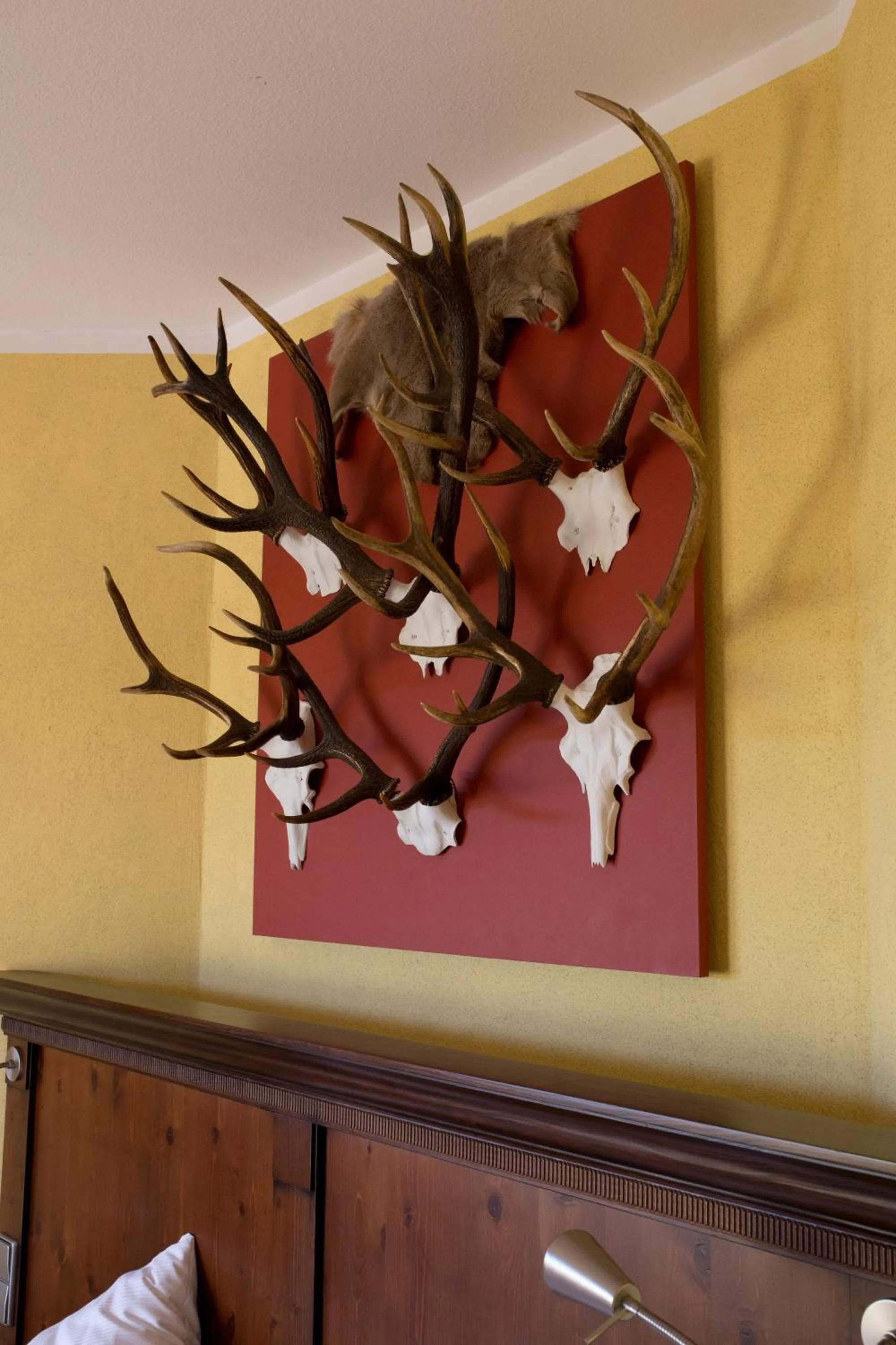 Decorative detail in Hotel Hirsch