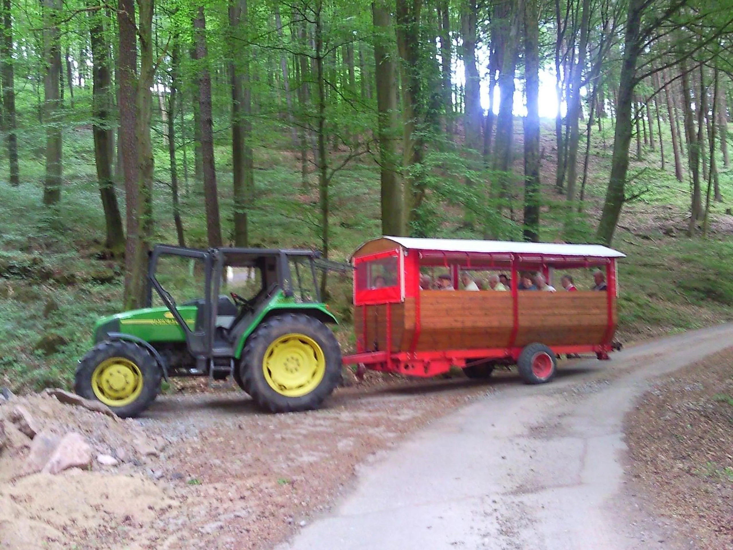 Activities in Hotel Hirsch