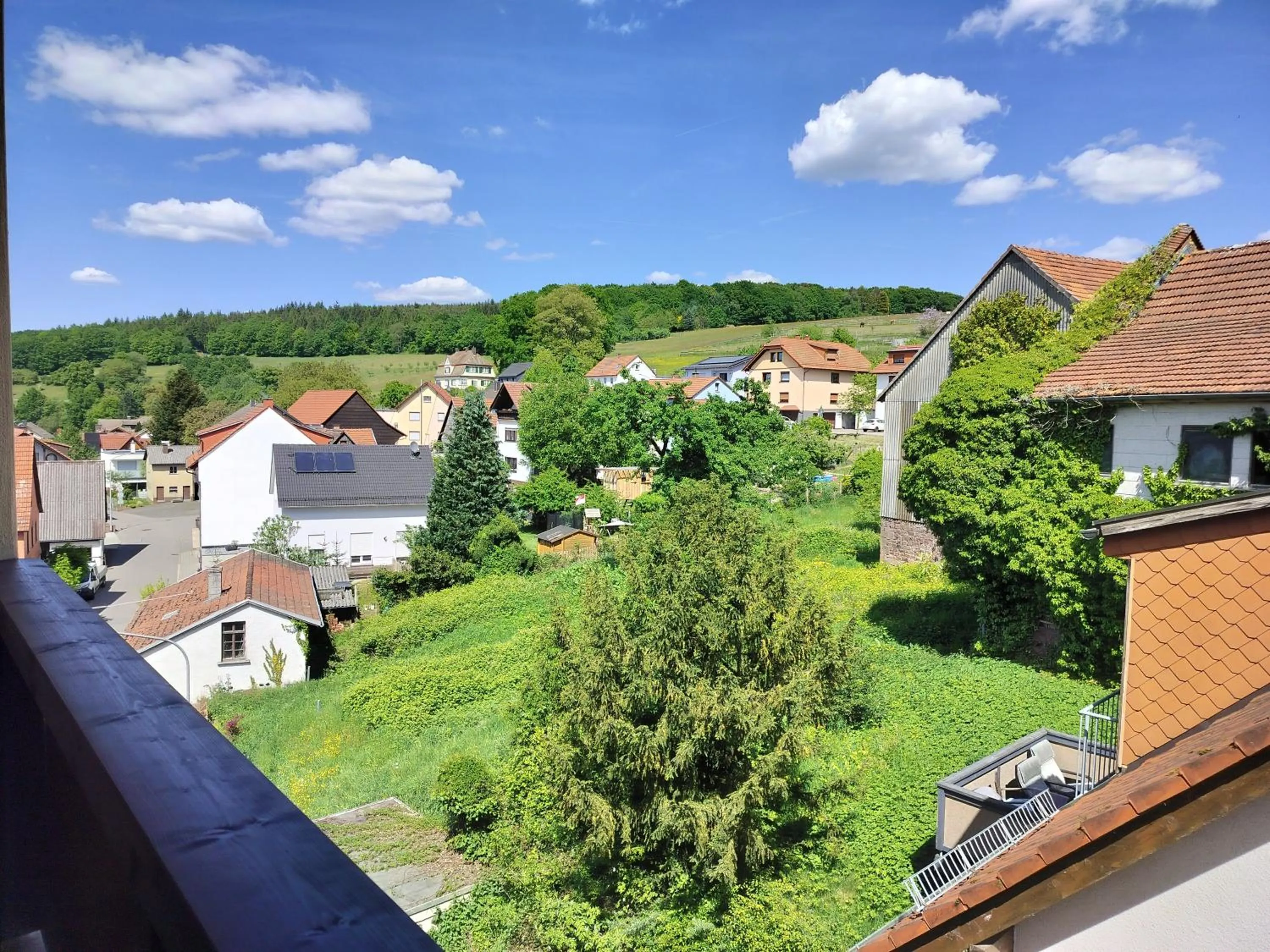 View (from property/room) in Hotel Hirsch