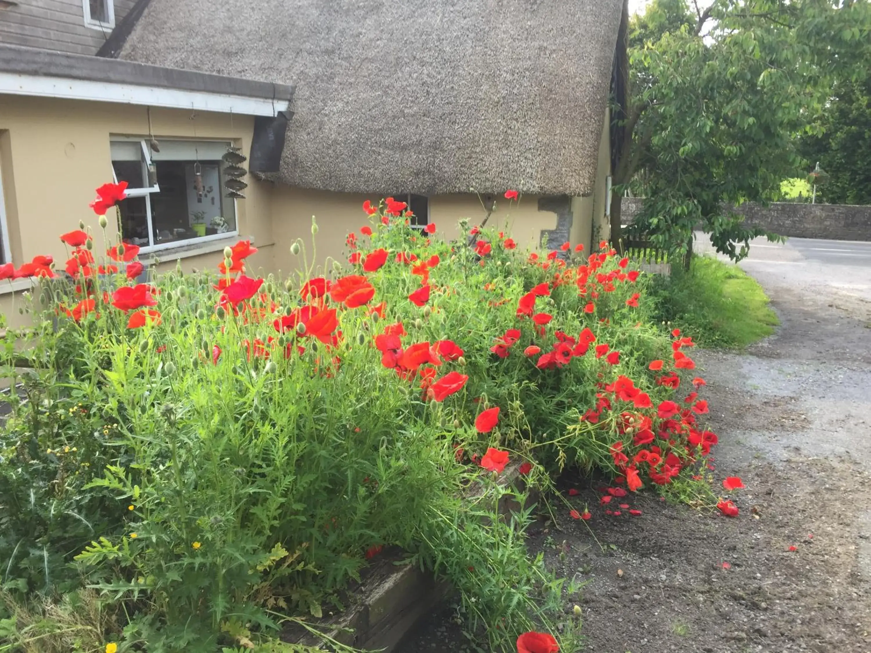 Bridge Cottage Bridge Cottage