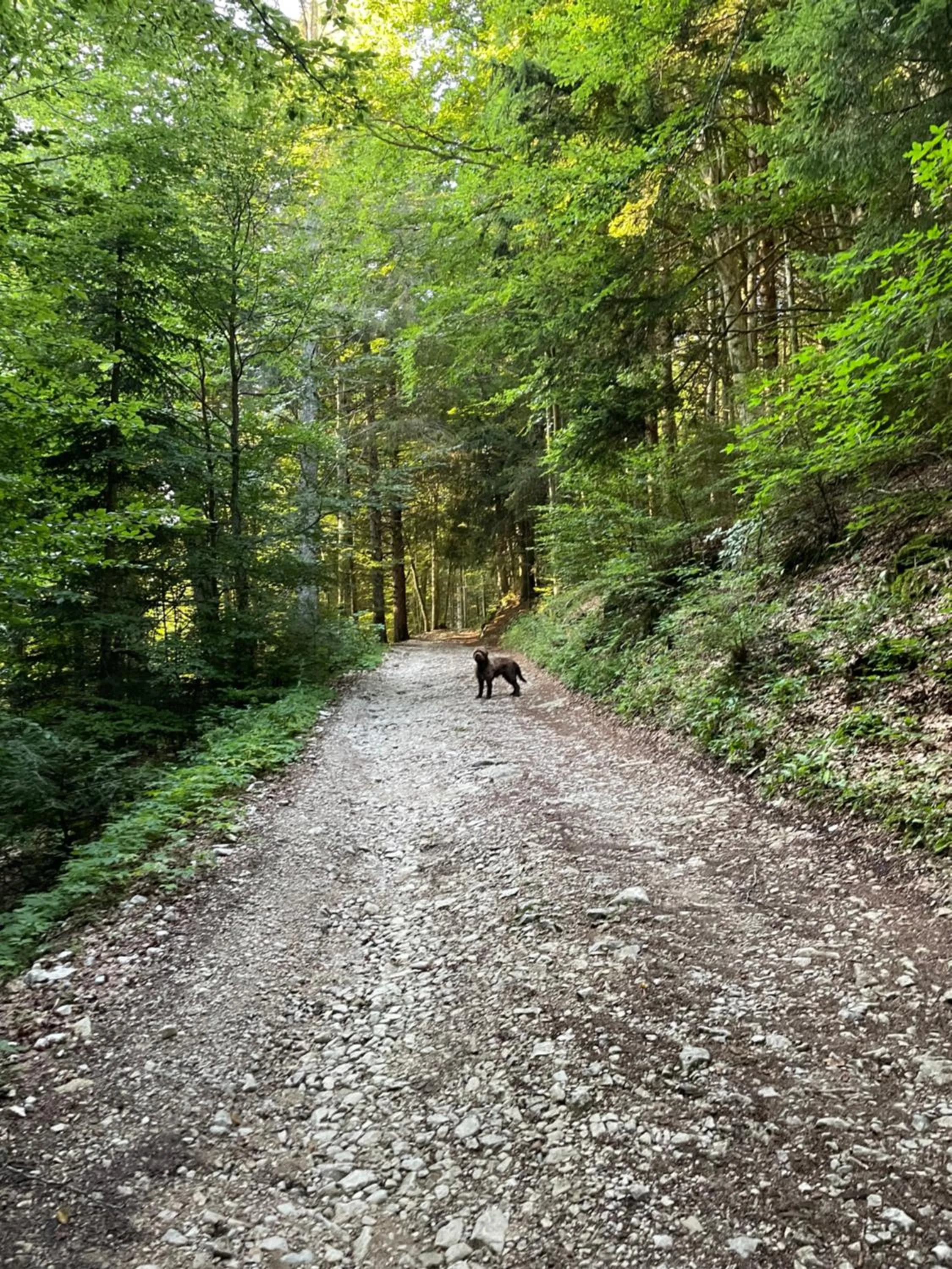 Natural landscape in Giulio Mountain B&B