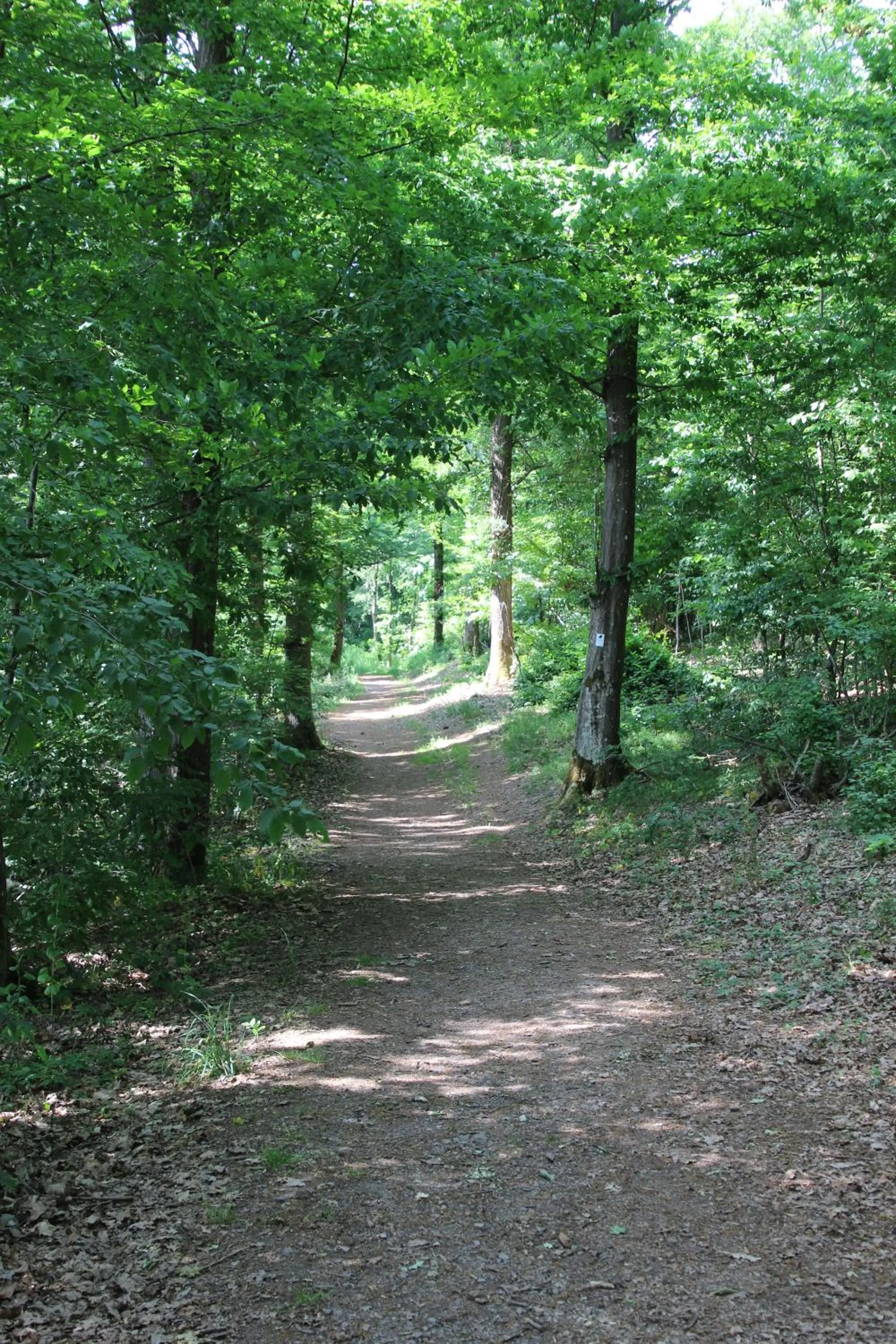 Natural landscape in Hotel Fürstenhof Bad Bertrich