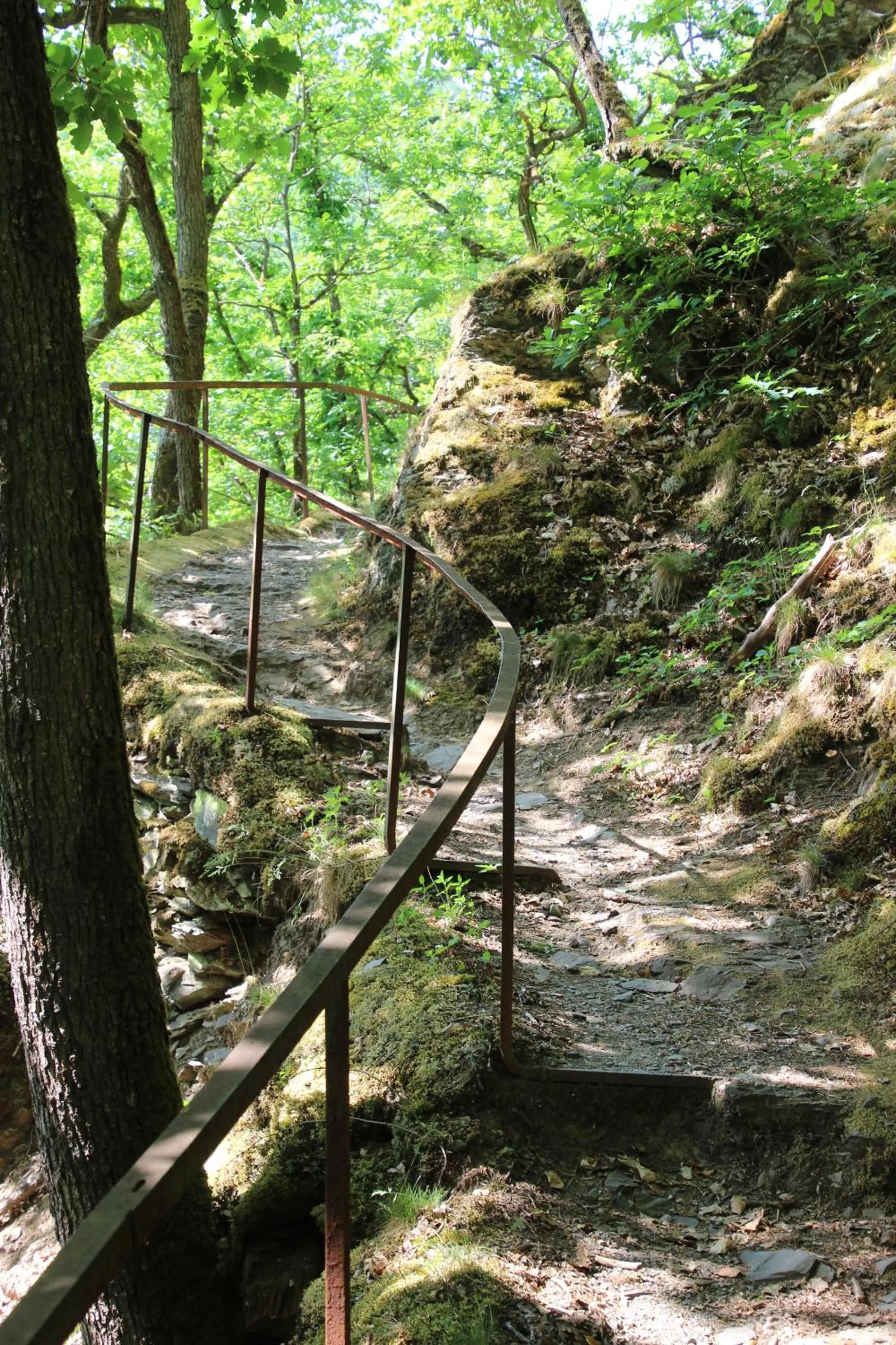 Natural landscape in Hotel Fürstenhof Bad Bertrich