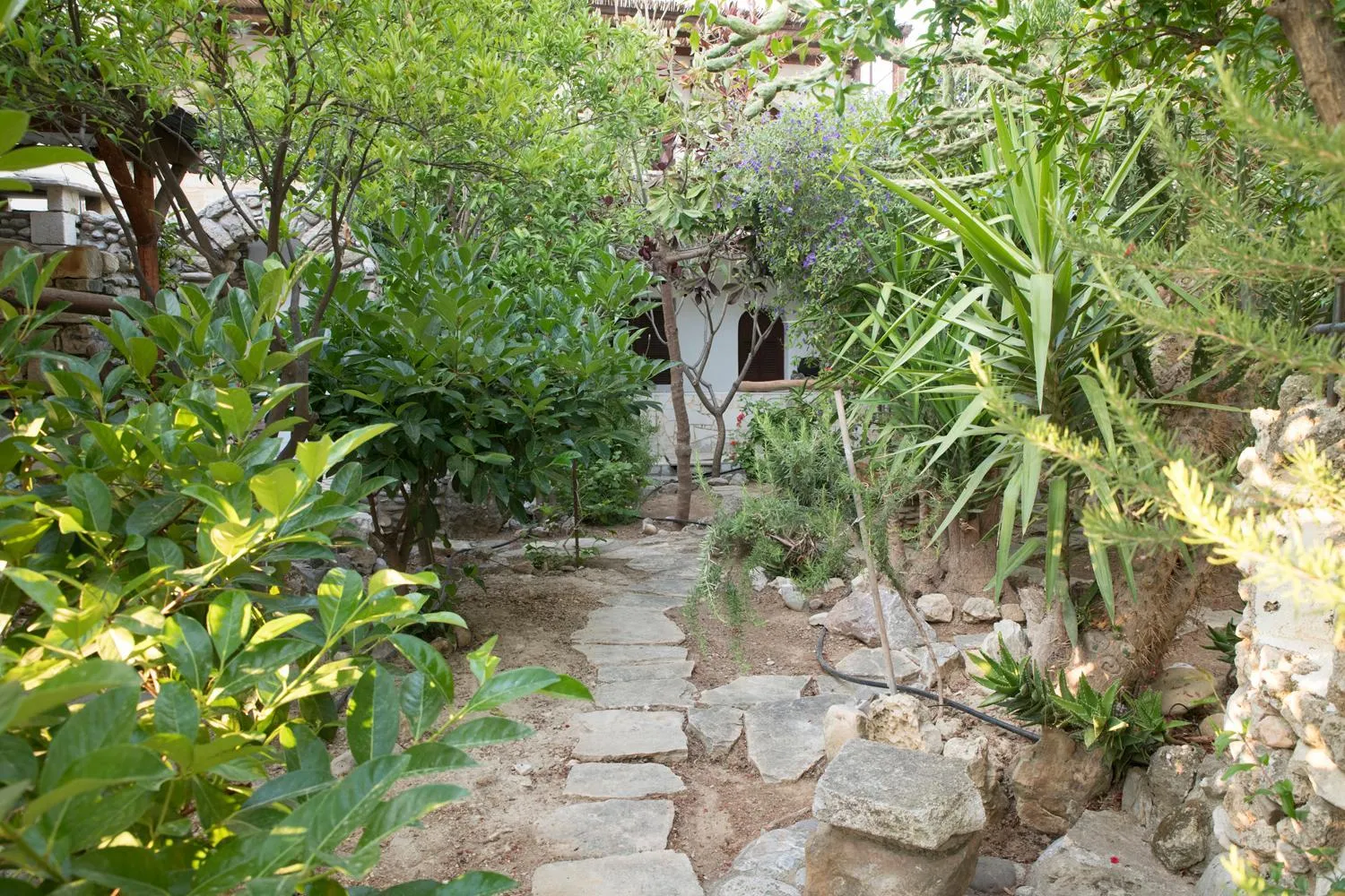 Bella Vita Style rooms & apartments