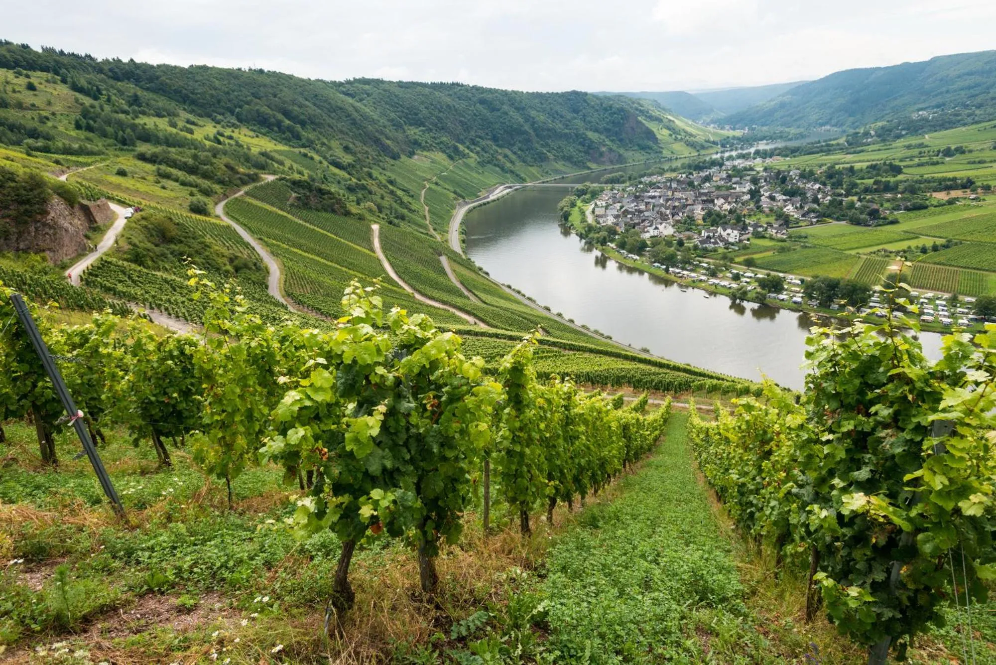 River view in Hotel Trabener Hof
