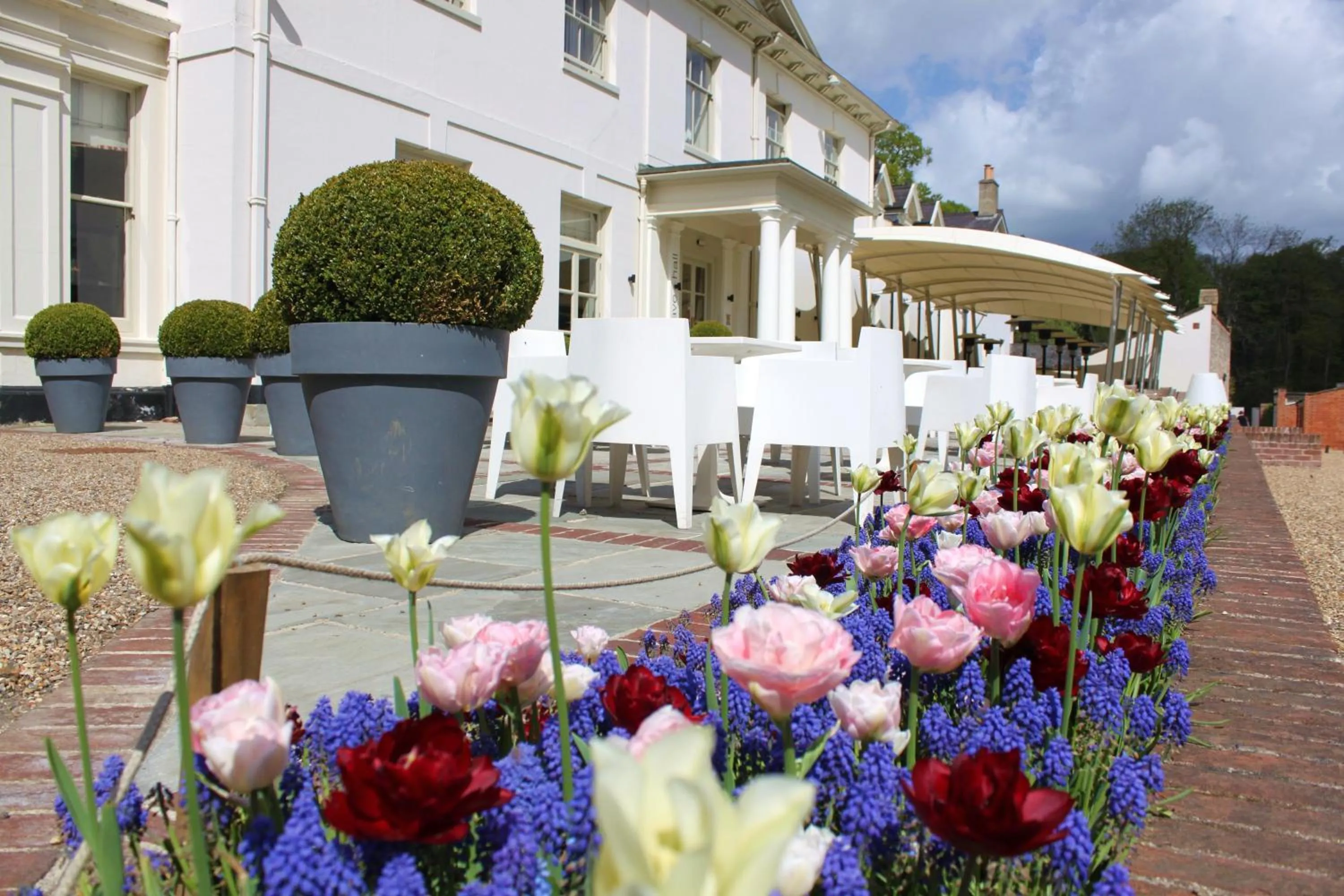 Property building in Milsoms Kesgrave Hall