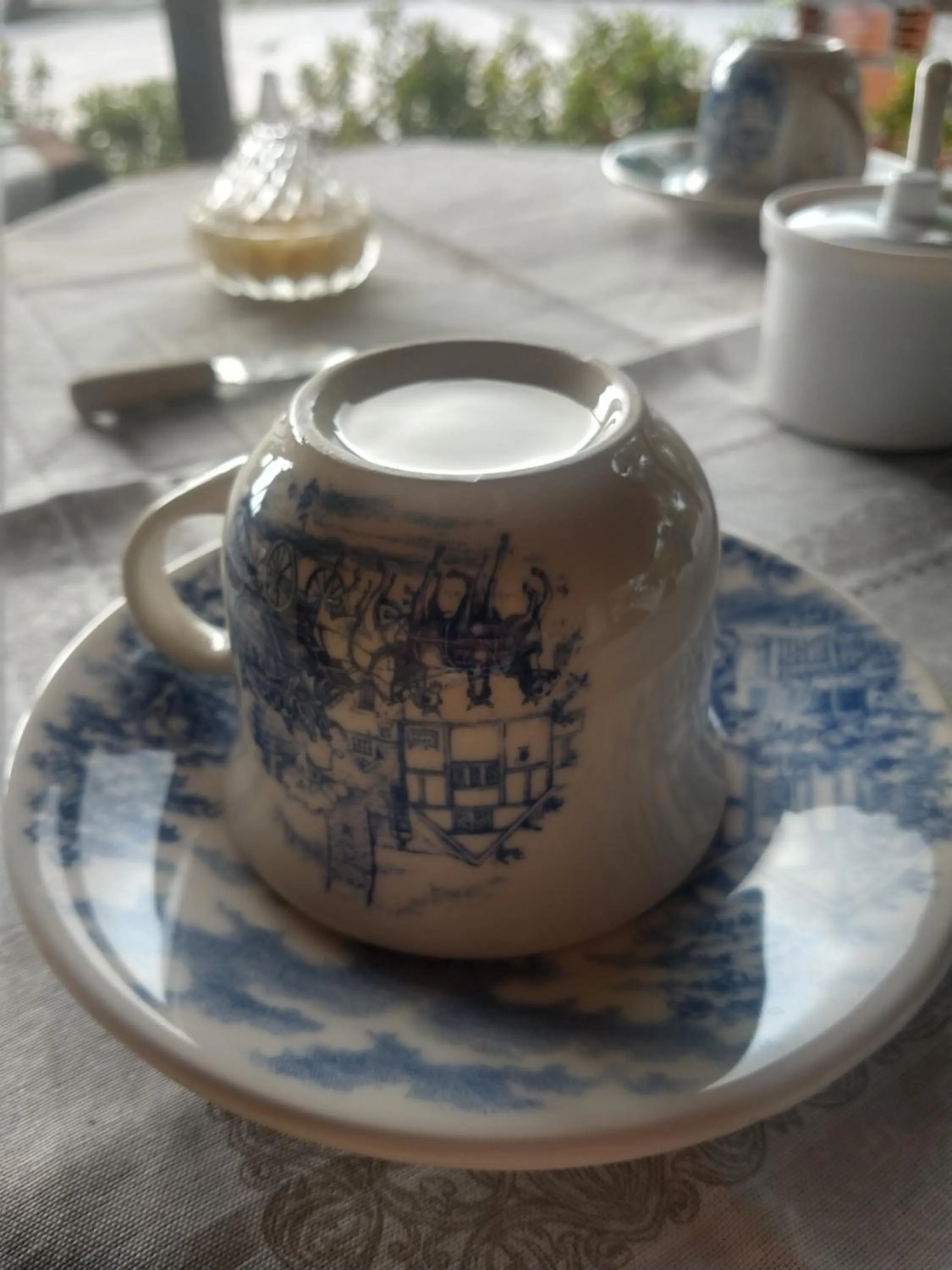 Pousada Flor do deserto - Mandacaru