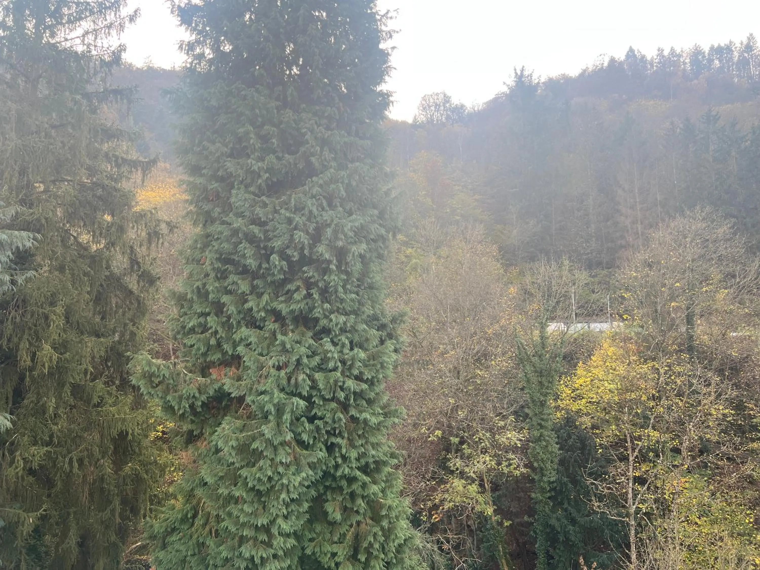 Mountain view in Kurhotel Quellenhof