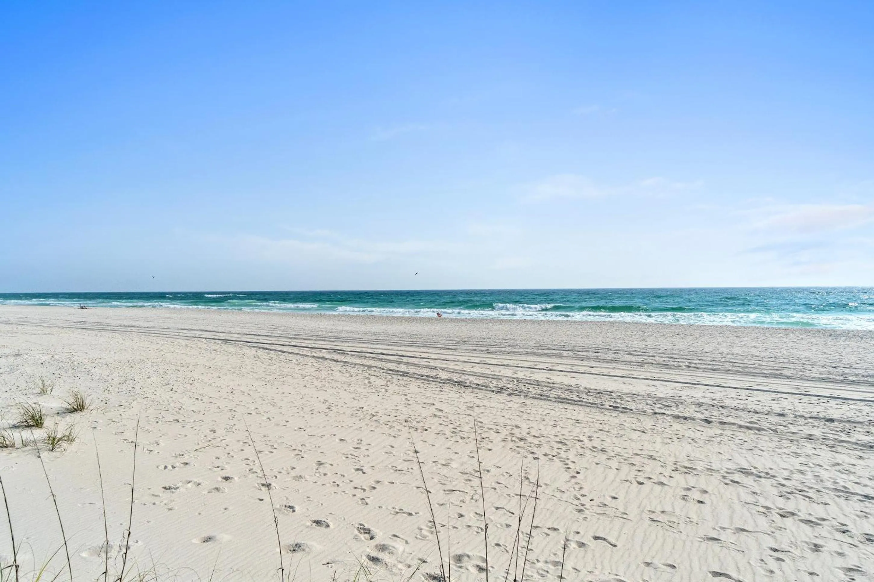 People in Harbur Arms - Pet Friendly